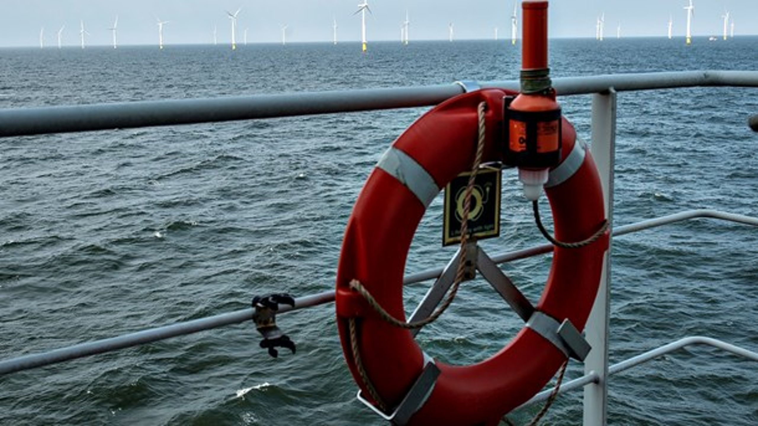 Der er over 400 maritime virksomheder i Nordjylland.