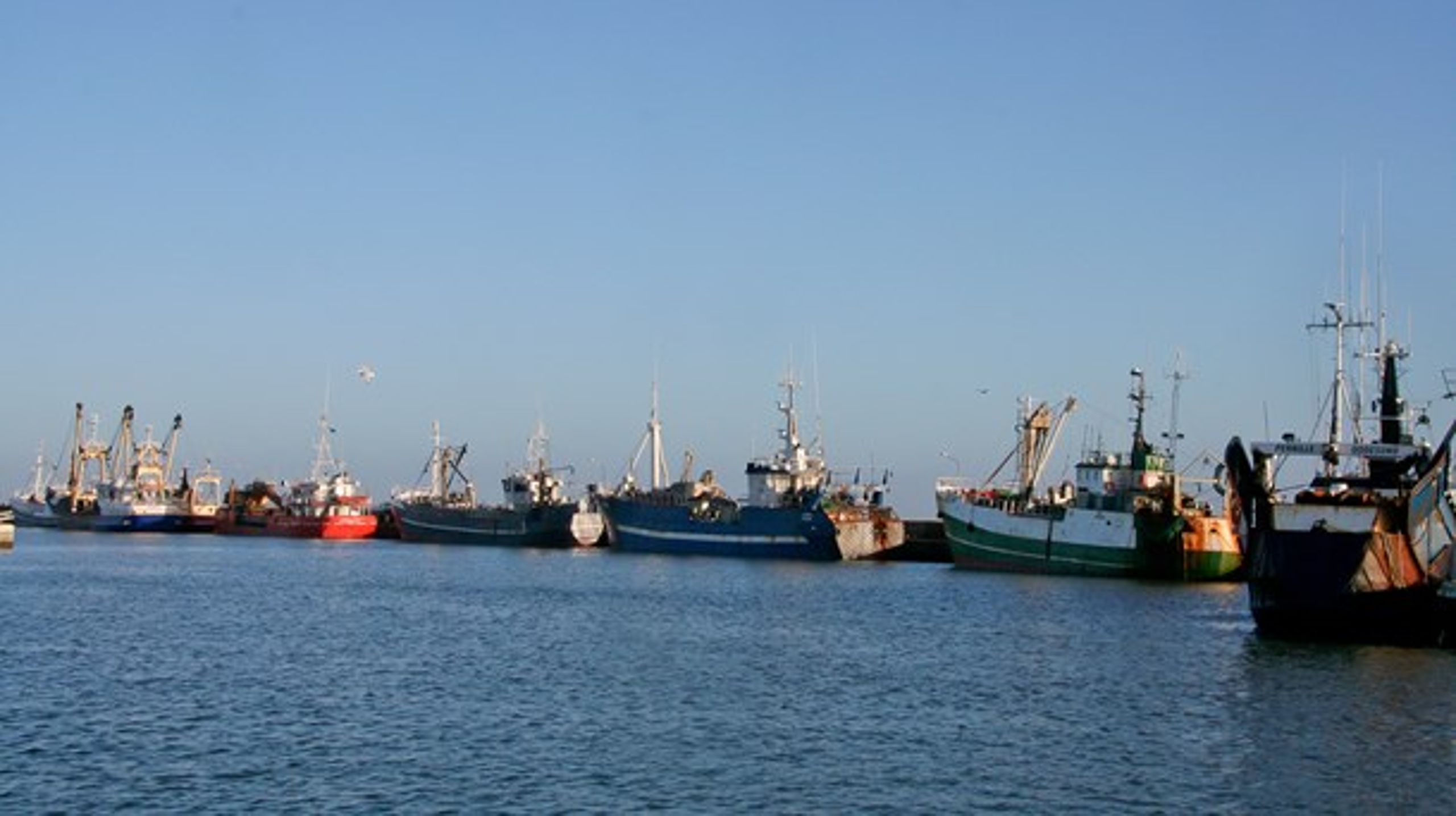 Fiskeristyrelsen har ikke fordelt flere af landets fiskekvoter på fiskefartøjerne endnu til stor frustration for fiskerne.