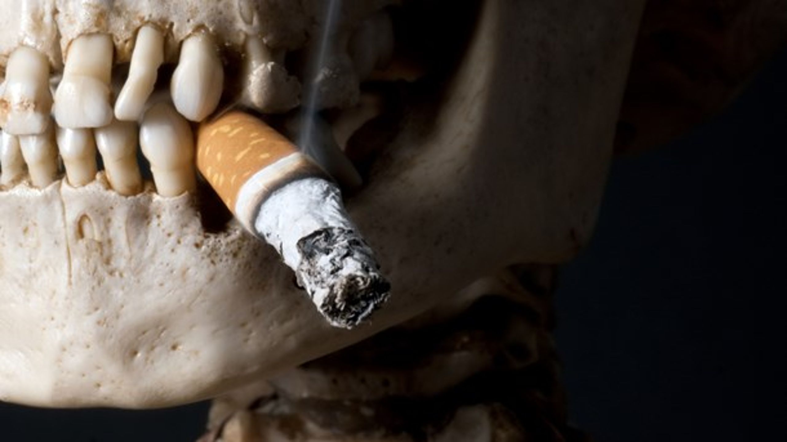 <b>RETTEN TIL DUMHED:</b> Myndige borgere må kunne forventes at kunne forudse, at rygning potentielt kan påvirke deres helbred, skriver Majbritt M. Nielsen.