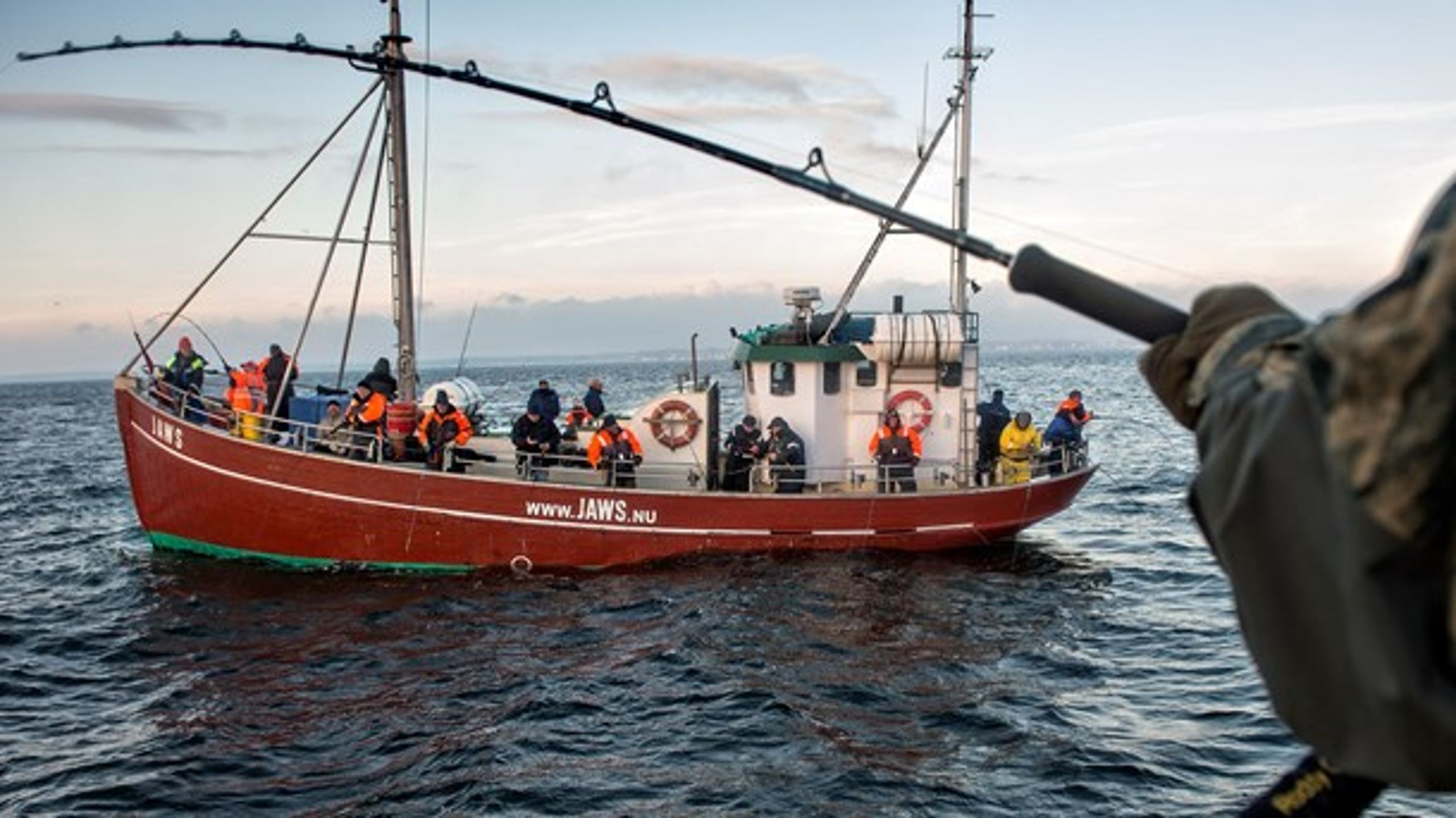 <div>Sandsugning går ud over havmiljøet og fiskeriet i Øresund, mener en række partier i Folketinget. Nye undersøgelser konkluderer dog, at effekterne er begrænsede.</div>