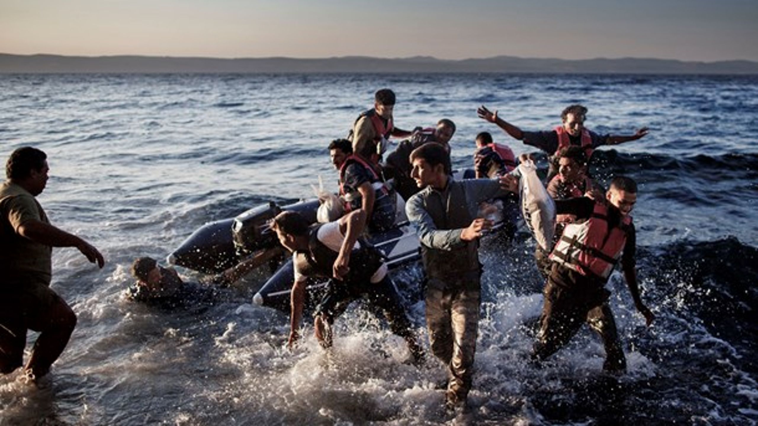 De flygtninge, der er kommet til Danmark fra Syrien, har klaret sig godt fra begyndelsen, skriver Stine Bosse.
