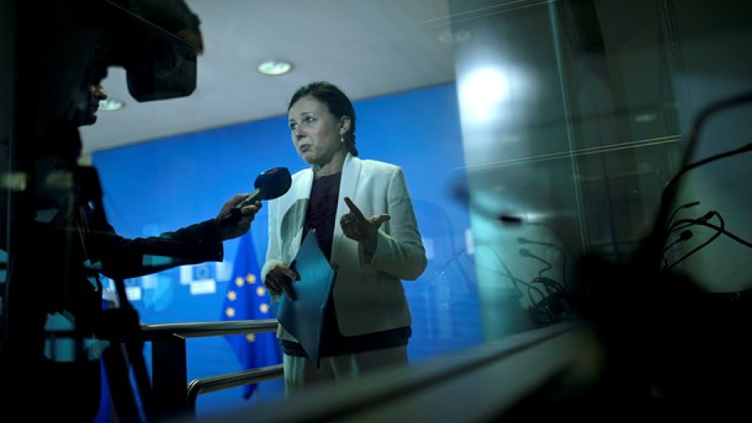 EU's retskommissær, Vera Jourová, vil have de europæiske landes myndigheder til at gribe ind mod manipulation af vælgerne på internettet.