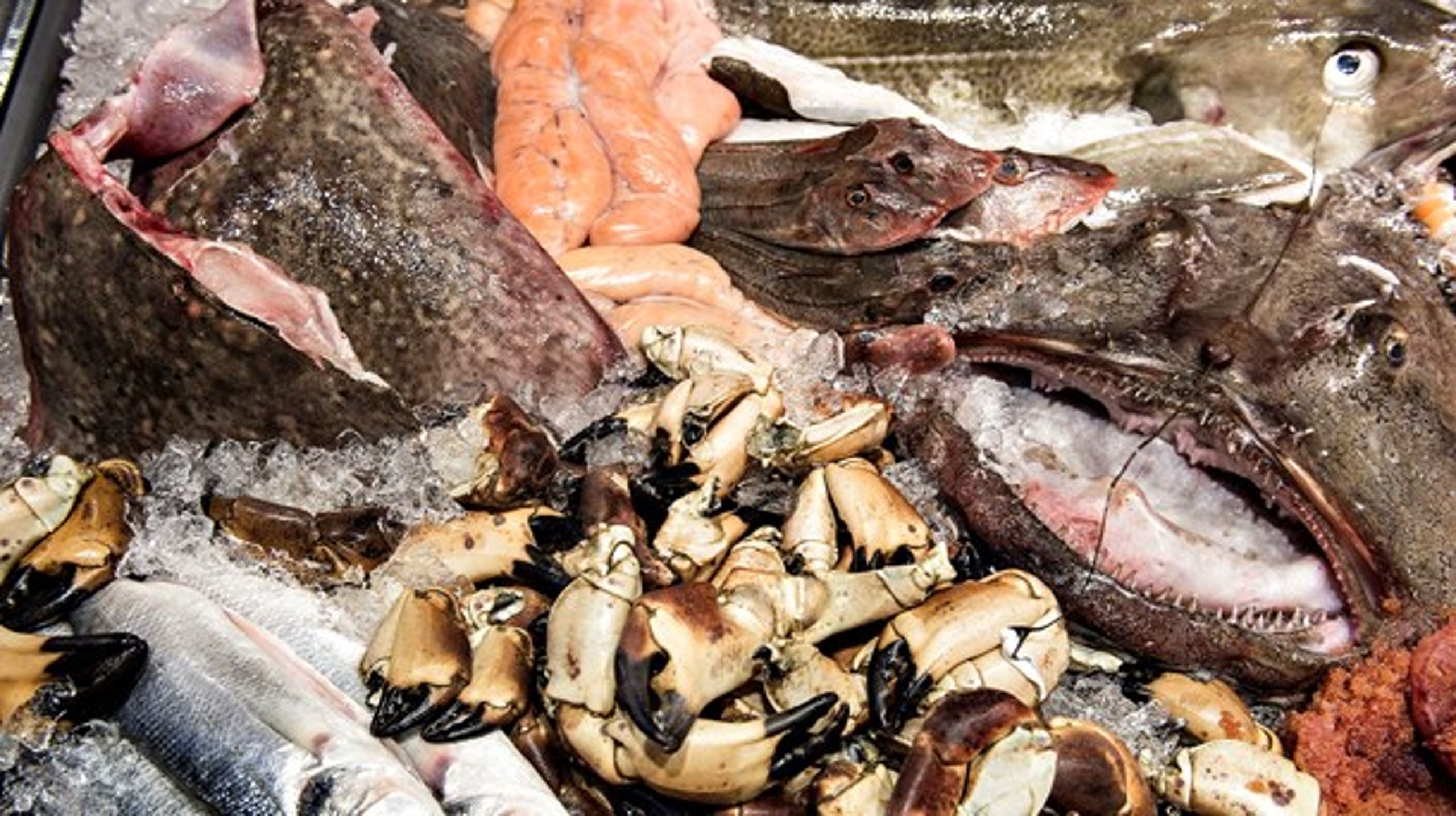MSC-mærket skal gælde alle fiskere, skriver Danmarks Fiskeriforening i en pressemeddelelse.