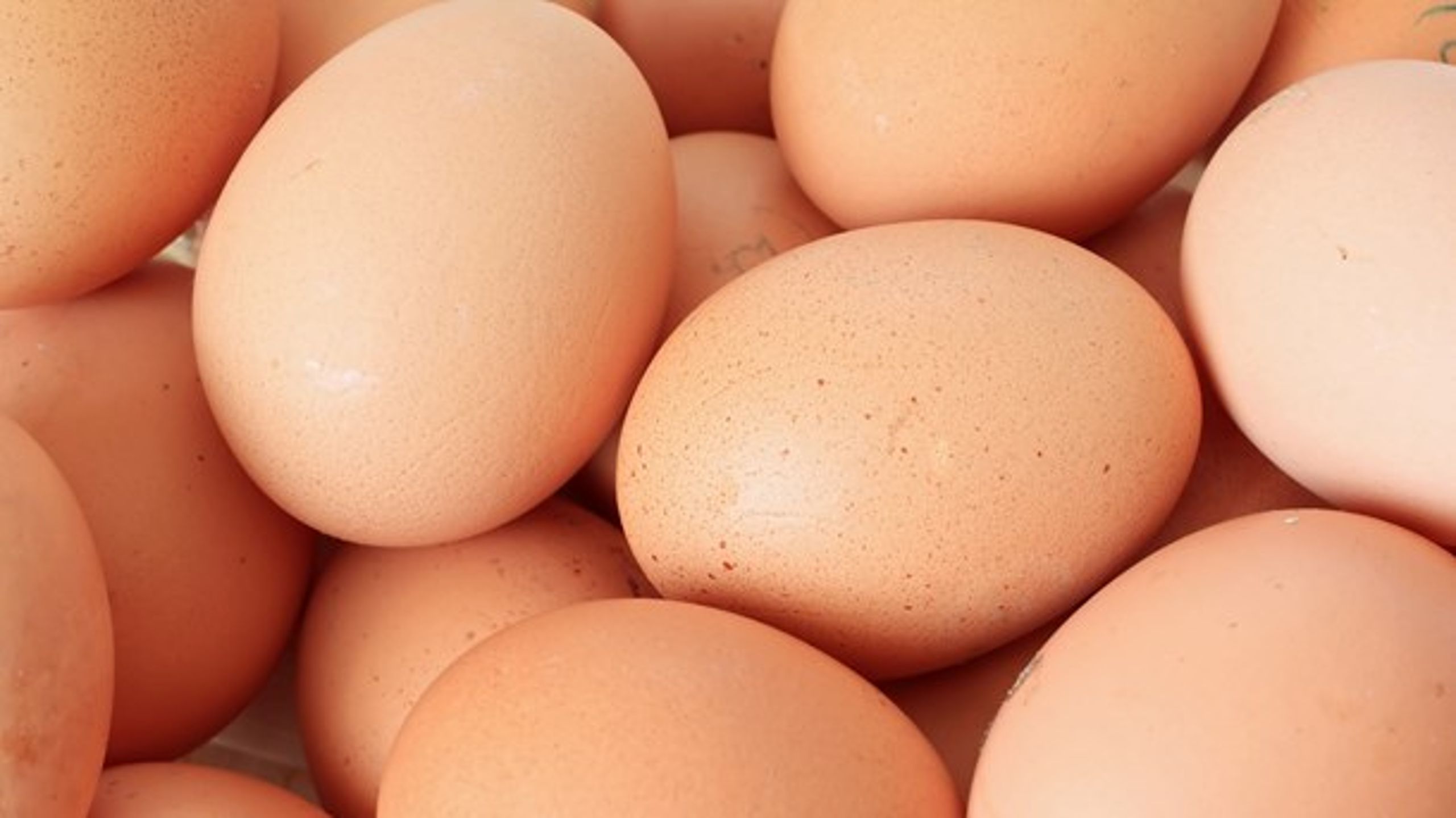 Fødevarestyrelsen har ikke sagt, at danske æg er sundere end udenlandske, siger specialkonsulent Erik Jepsen fra Fødevarestyrelsen.