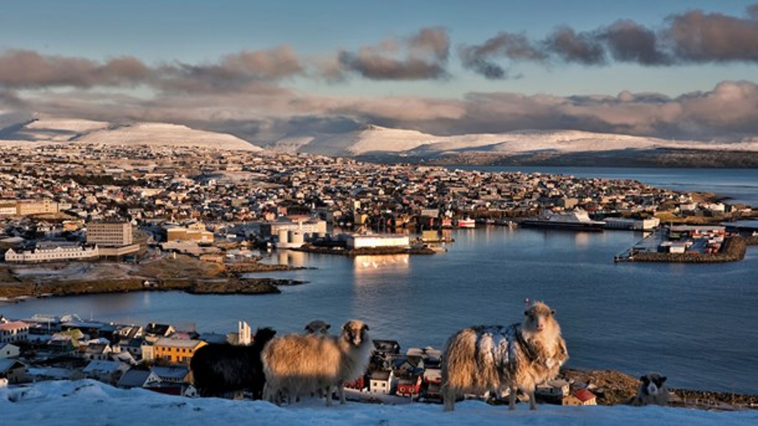 Tórshavn i vintersol.