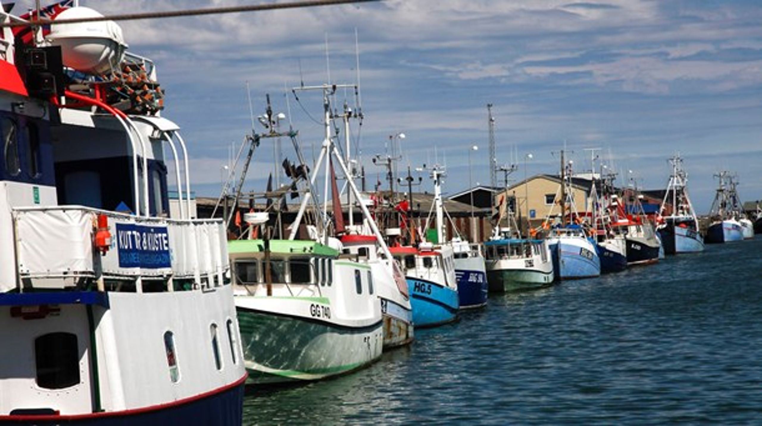 Den lokale fiskeriforening i Hirtshals er blandt dem, der nu vil søge at ændre sine vedtægter ved næste generalforsamling, så der ikke er forbud mod dobbelt medlemskab af flere foreninger. ARKIV.