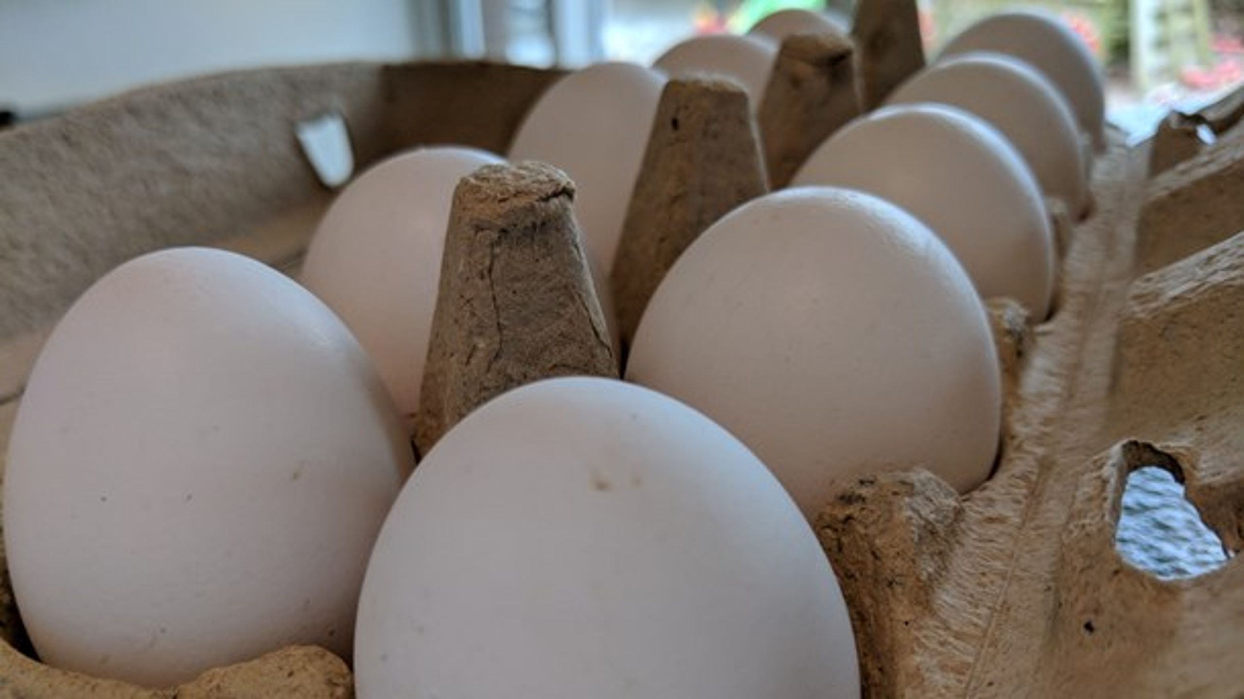 En kampagne for danske æg har skabt flere stridigheder om, hvad man må rose danske æg for.&nbsp;