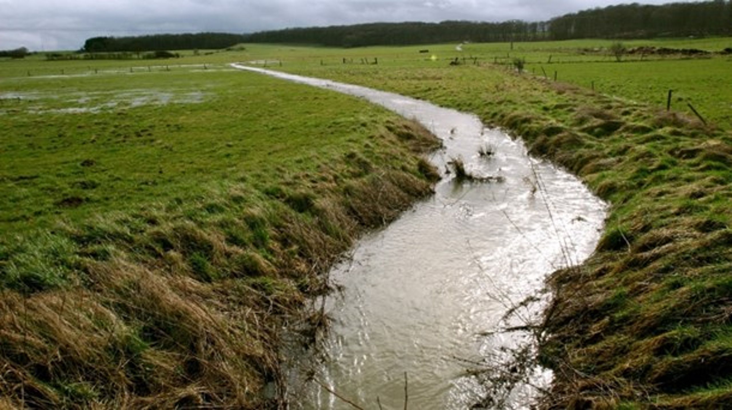 Danske Vandløb mener, at 8.500 kilometer vandløb skal tages ud af vandplanerne.