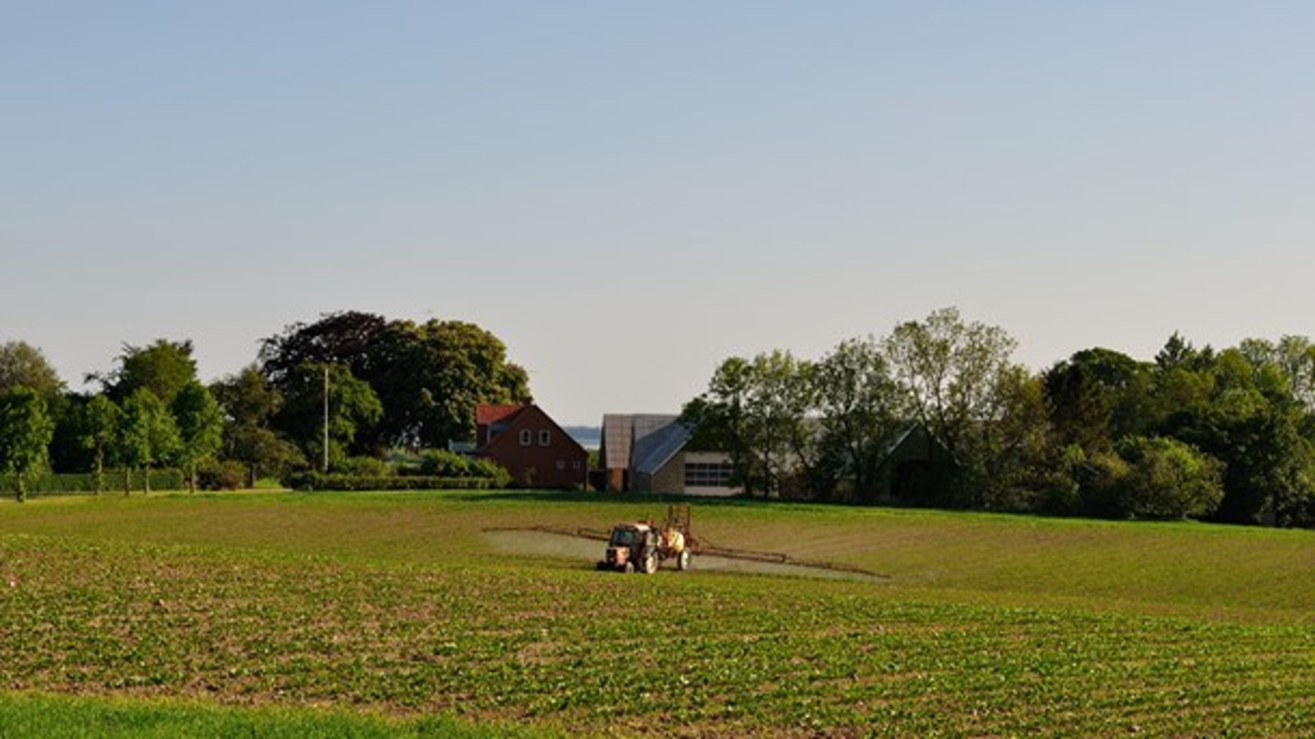 Concito har muligheden for at bidrage kreativt til klimakonsensus i landbruget, skriver Per Kølster og Paul Holmbeck.