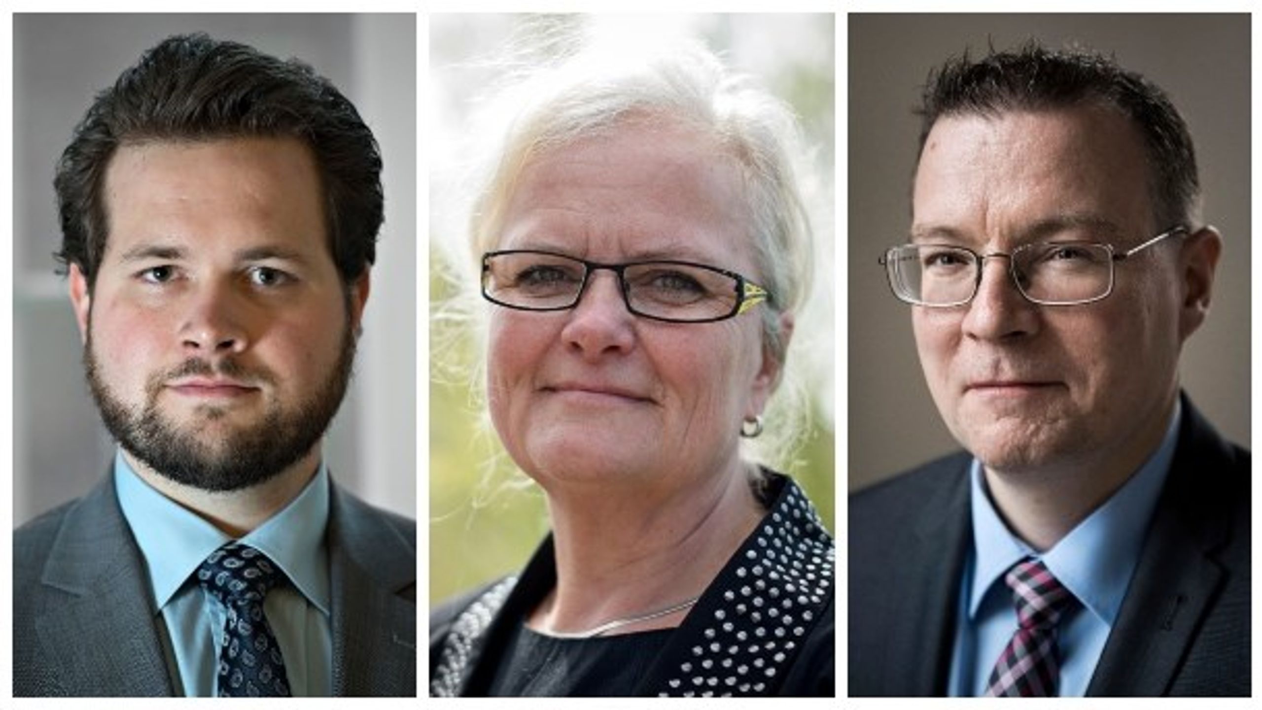 Anders Vistisen, Liselott Blixt og Kenneth Kristensen Berth er favoritter til at blive DF's spids til EP-valget.<br>
