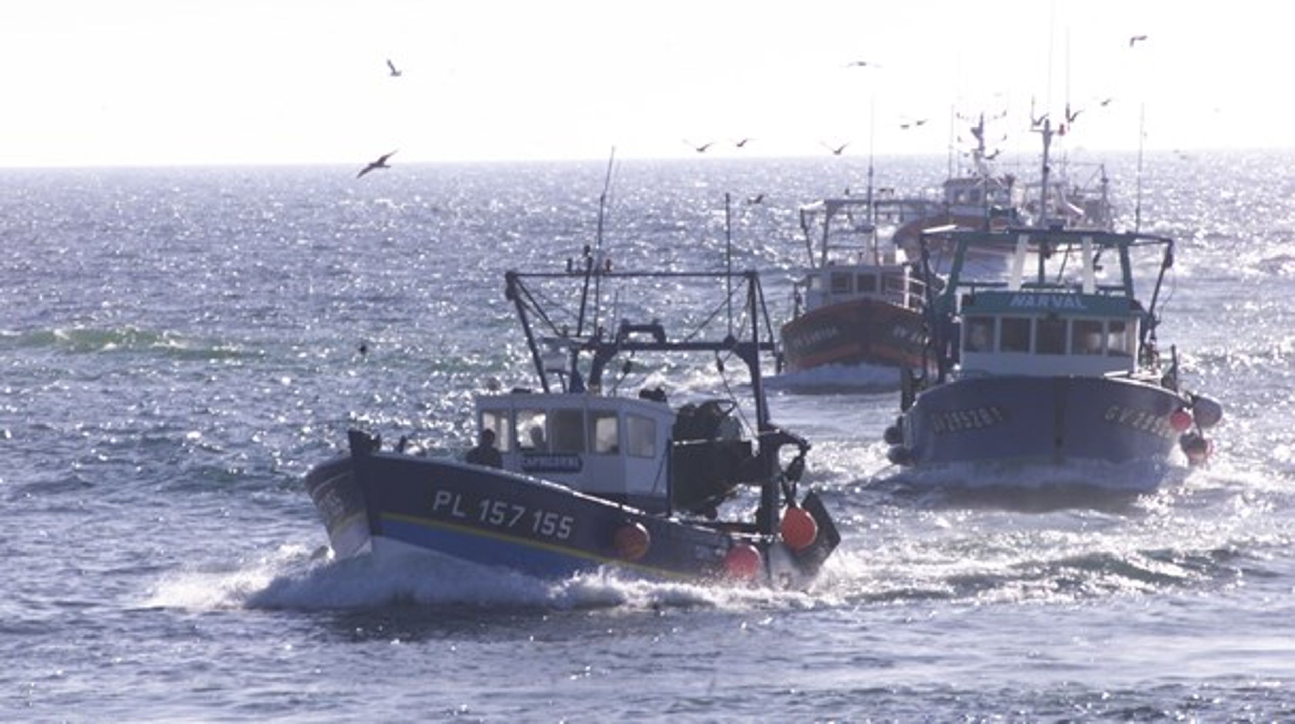 Fiskeristyrelsen skal bruge et nyt kontrolskib til at kontrollere fiskebåde i Nordsøen, Skagerrak og det nordlige Kattegat samt deltage i inspektionstogter i Nordatlanten. Arkivfoto.