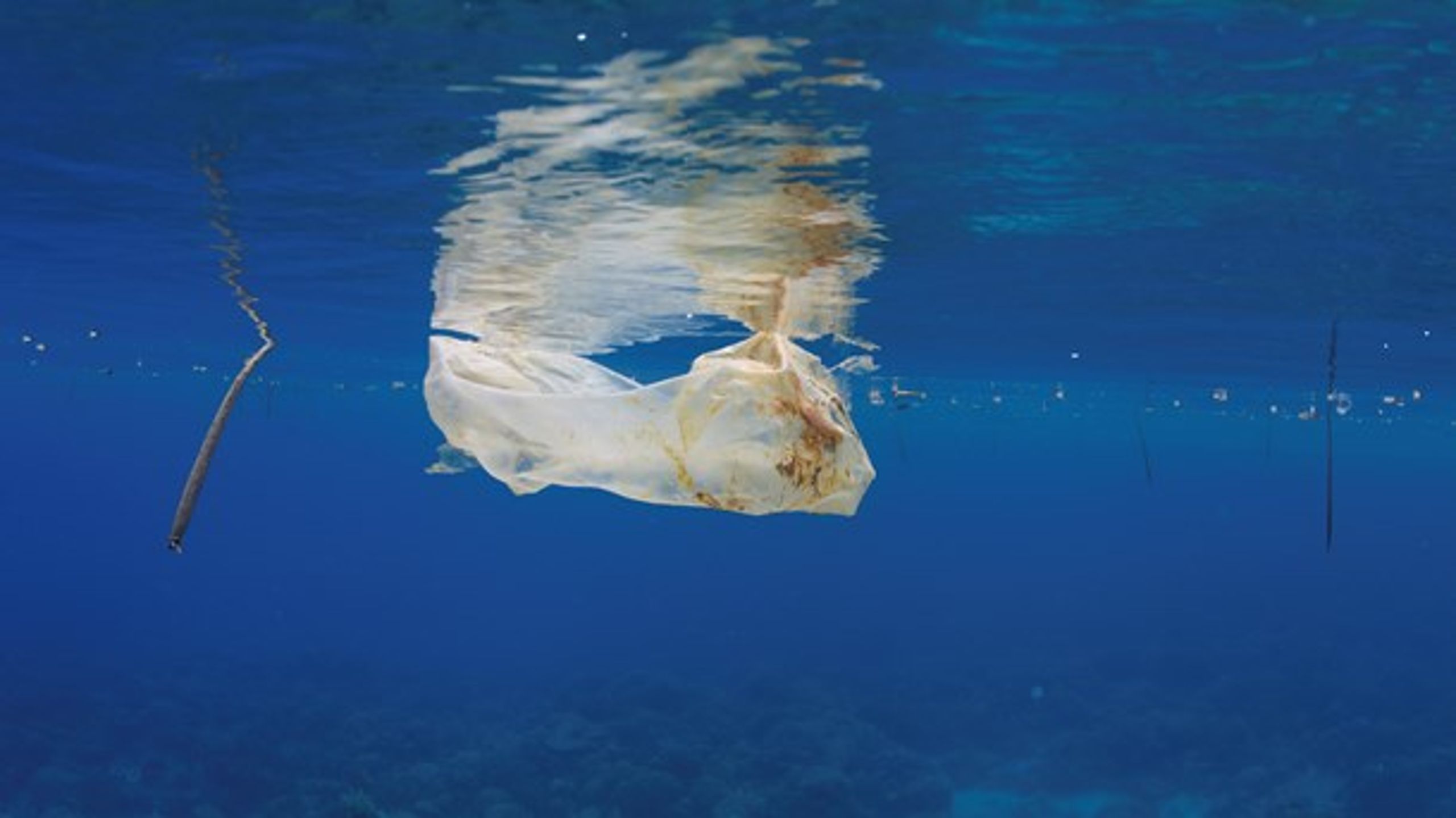 Det er helt galt, at klima og havmiljø ikke indgår i regeringens plasthandleplan, mener Steen Gade.