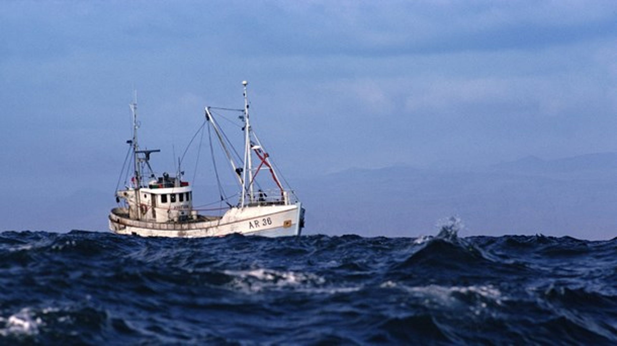 Over 70 procent af omsætningen i det pelagiske fiskeri efter blandt andet sild og makrel hentes i britisk zone.