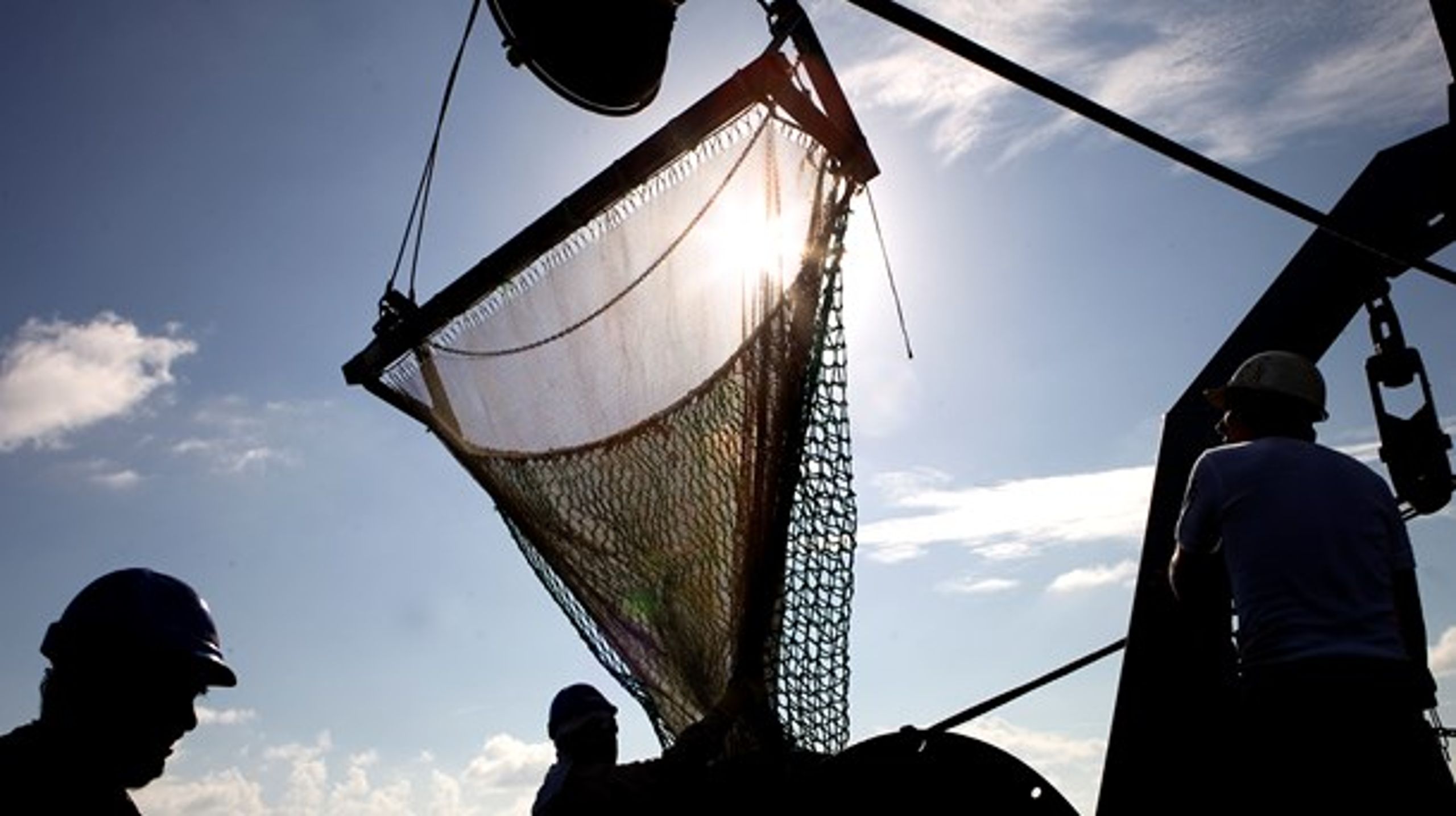 Fiskeri med bundslæbende redskaber bør ophøre i stort omfang, mener Lars Vestergaard (DF).