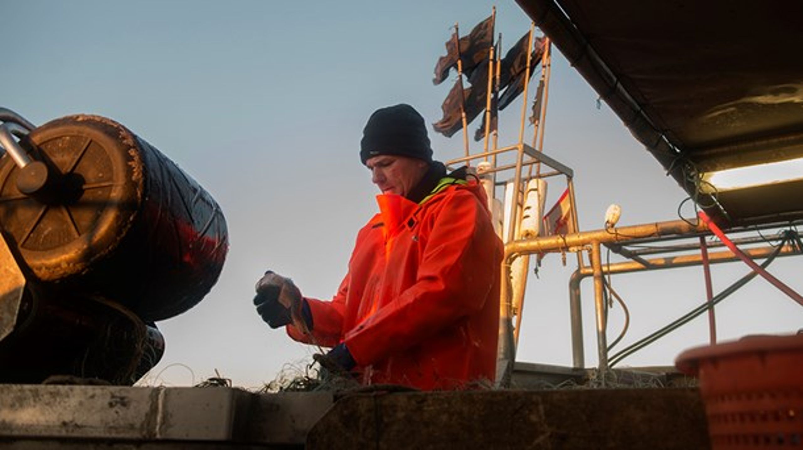 Fiskeriet er mange
steder blevet nærmest umuligt på grund af sæler, mener Søren Jacobsen.