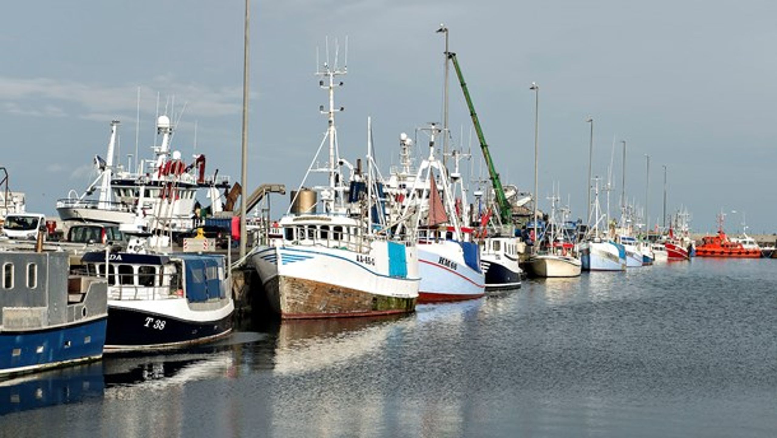 Omkring 50 fiskefartøjer kan få deres omsætning mere end halveret, hvis Storbritanniens træder ud af EU uden en aftale, viser ny rapport.