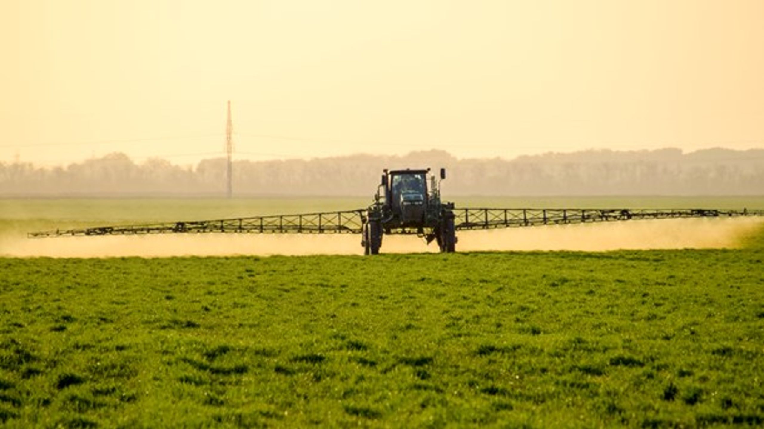 Landbruget skal fortsat have lov at anvende sprøjtemidler med aktivstoffet glyphosat, mener et stort flertal i Folketinget.