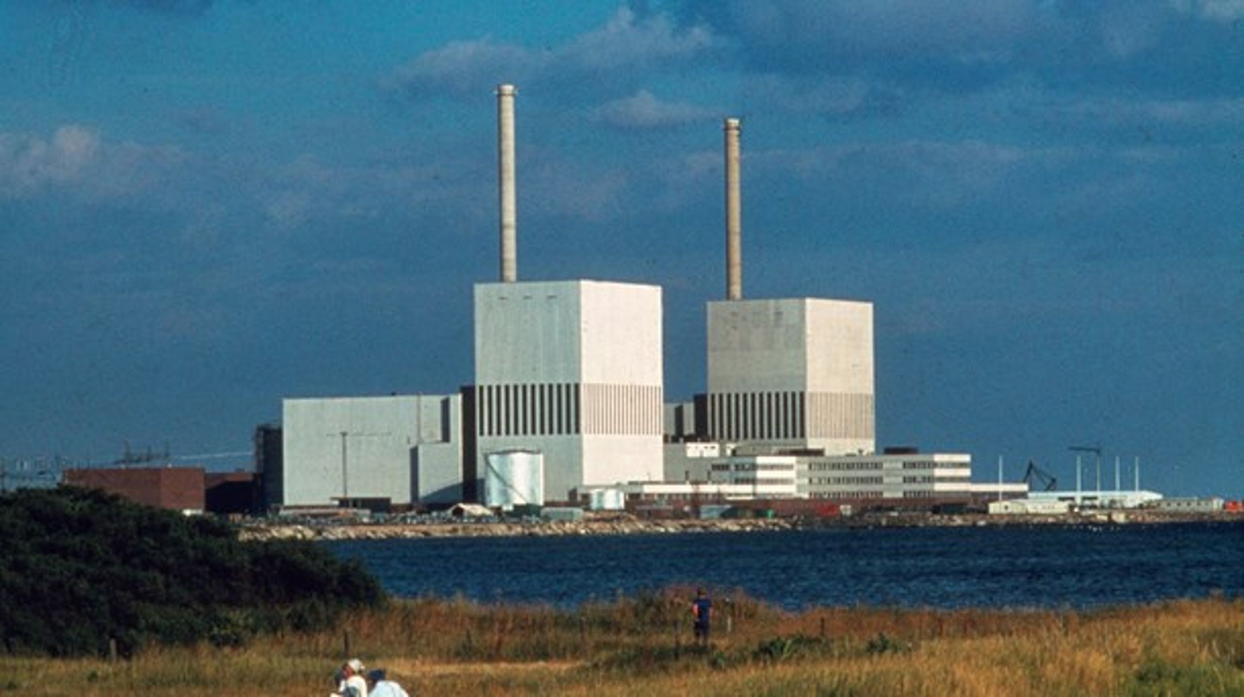 Det ser nu ud til, at Danmark skærer i støtten til Euratom, hvilket må siges at være fornuftigt, skriver Oluf Danielsen.