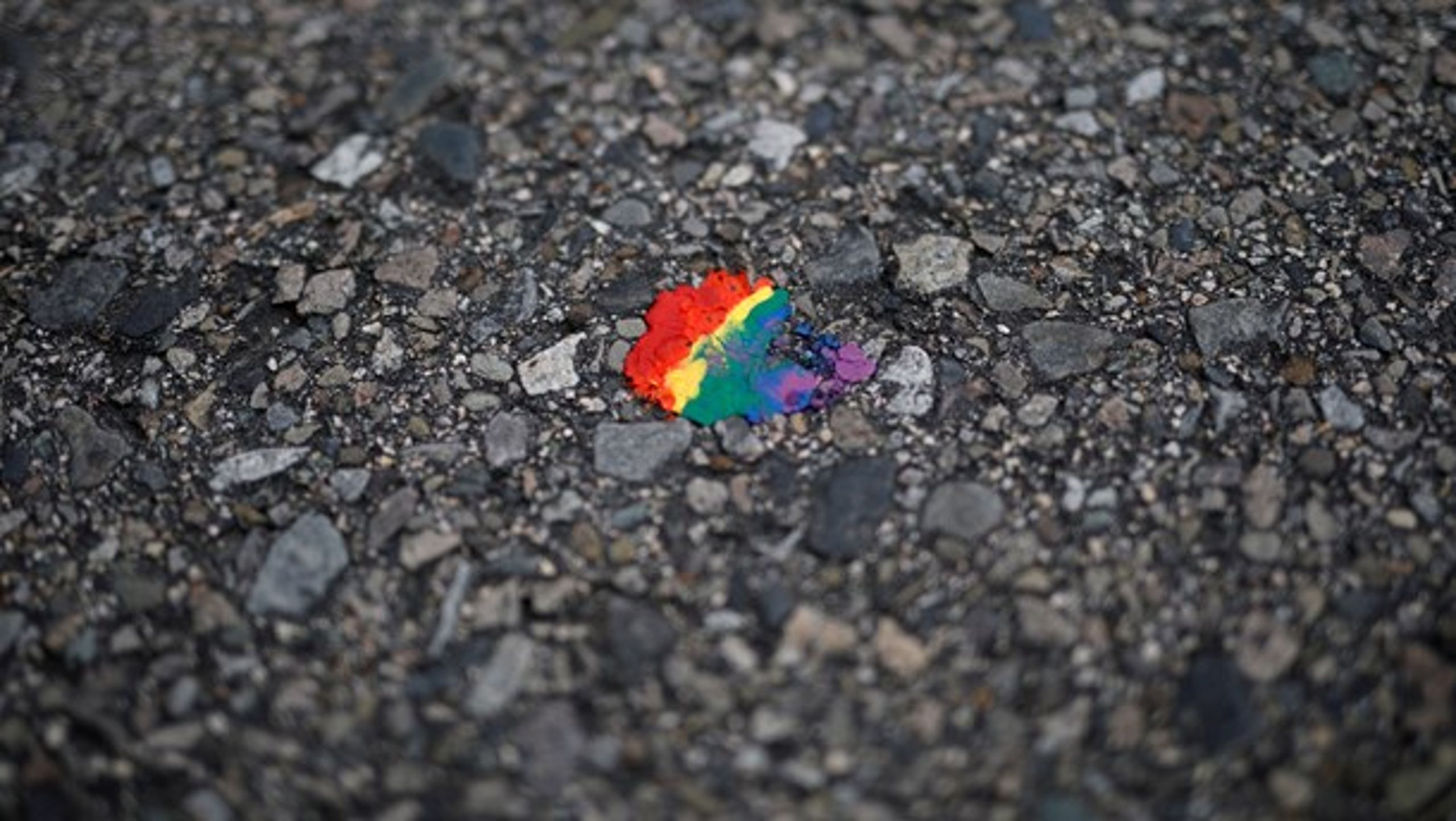 Magtkampen i LGBT Danmark blev afgjort ved en generalforsamling søndag eftermiddag, hvor den siddende ledelse blev væltet.&nbsp;