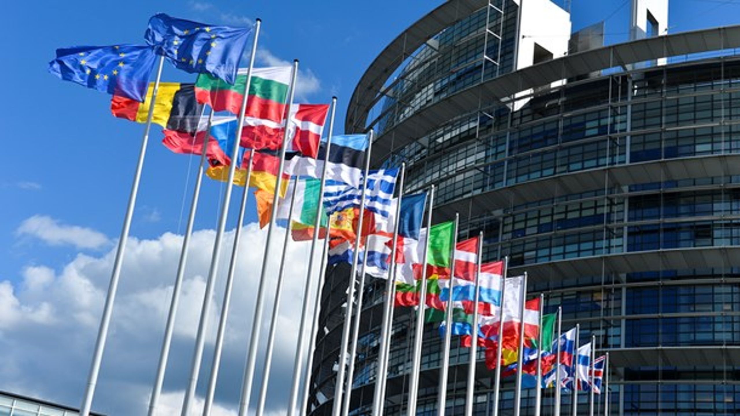 Mellem 23. og 26. maj vælger europæerne, hvem der de næste fem år skal have deres gang i Parlamentet i Strasbourg.