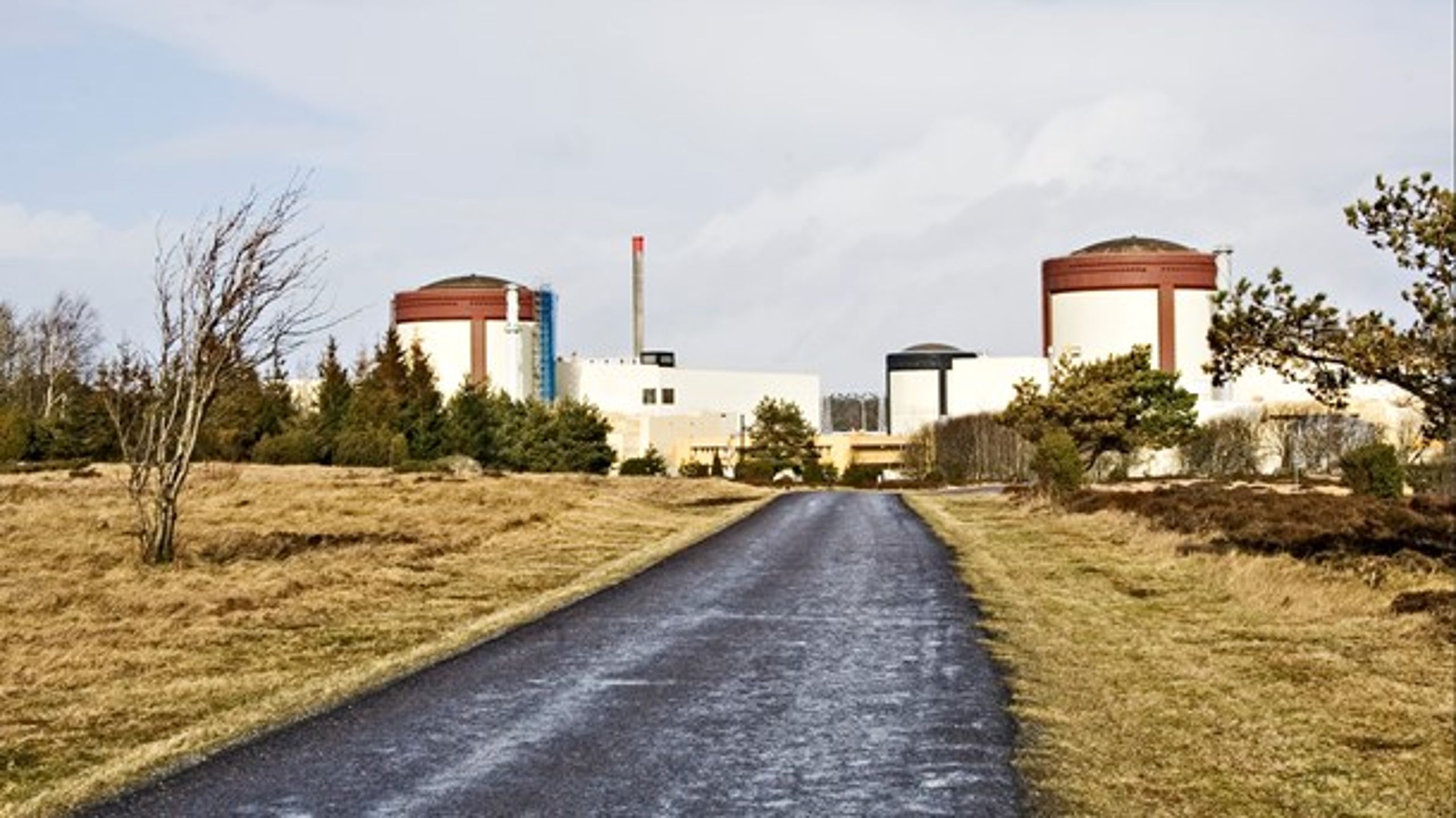 Danmark kan sikre atomkraft uden det farlige affald ved for eksempel at købe de to lukningstruede Ringhals-reaktorer i Sverige, skriver Thomas Grønlund Nielsen.