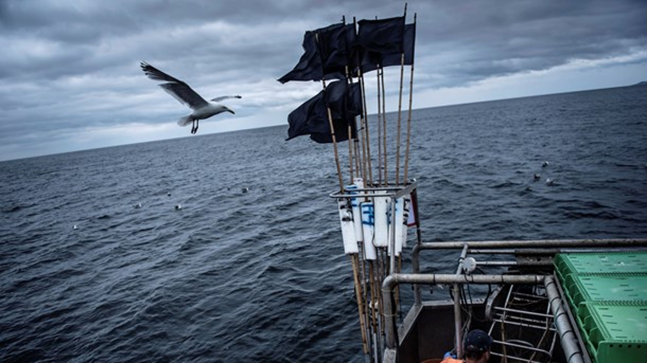 Enhedslisten vil afsætte 600 millioner kroner til en nødhjælpspakke til havet, der hvert år ødelægges af blandt andet trawlere, skriver Øjvind Vilsholm og Søren Egge Rasmussen.