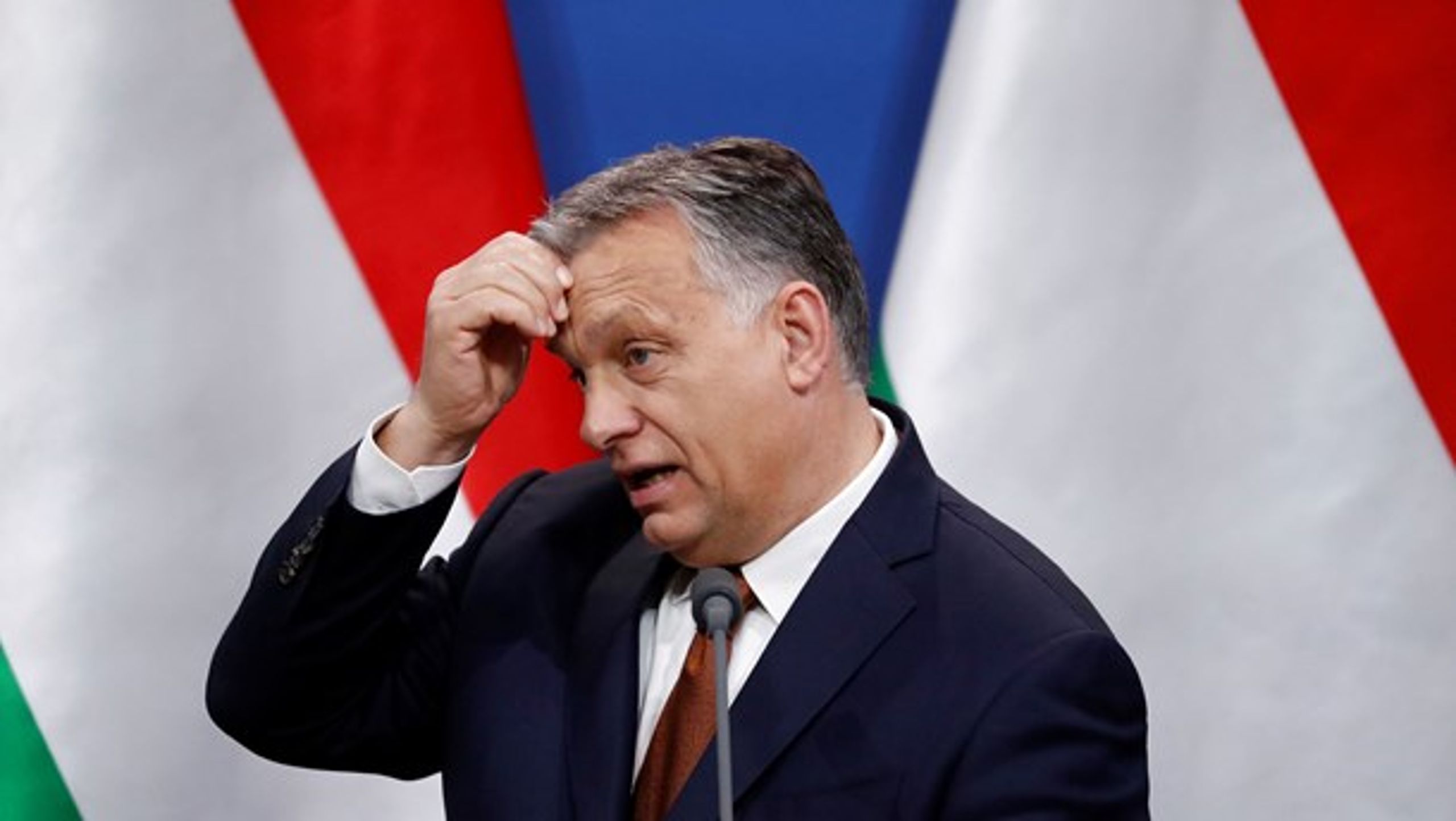 Lasse Skytts bog om Orbáns Ungarn er et must-read, skriver Adam Holm.