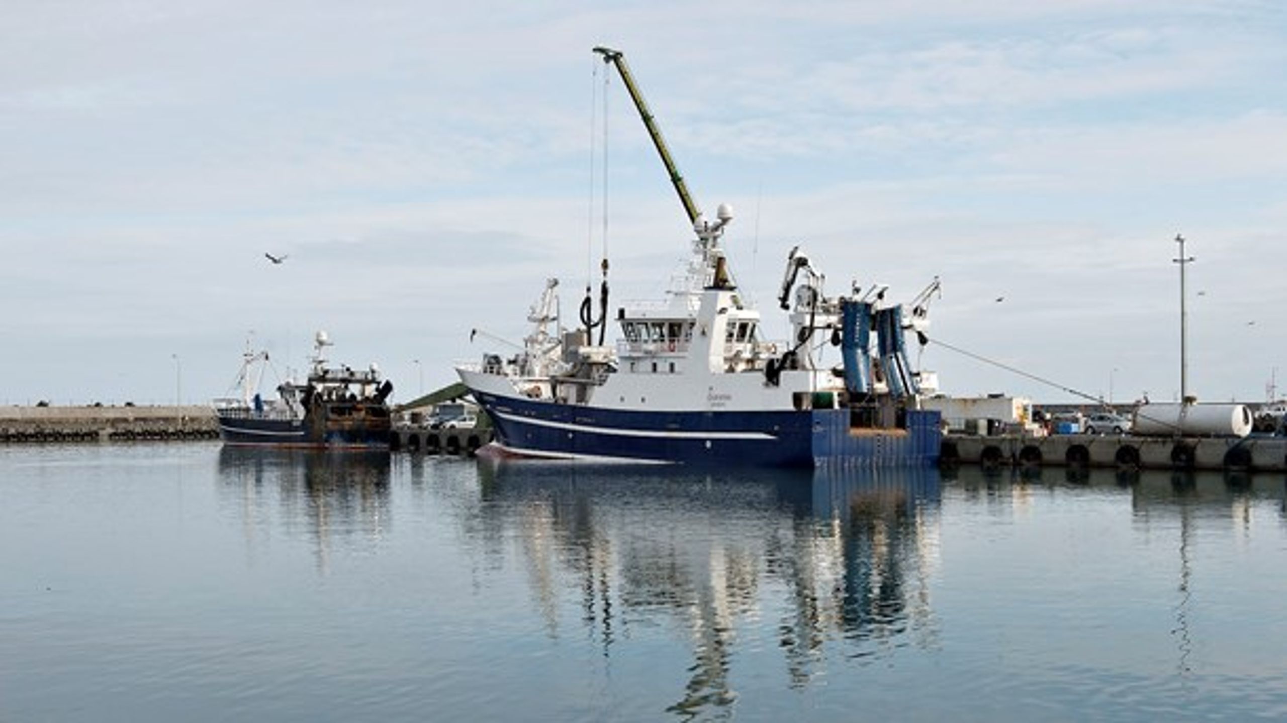 Dansk industrifiskeri er kommet i klemme i EU-regler om kontrol, fordi reglerne er udarbejdet til en anden type fiskeri.