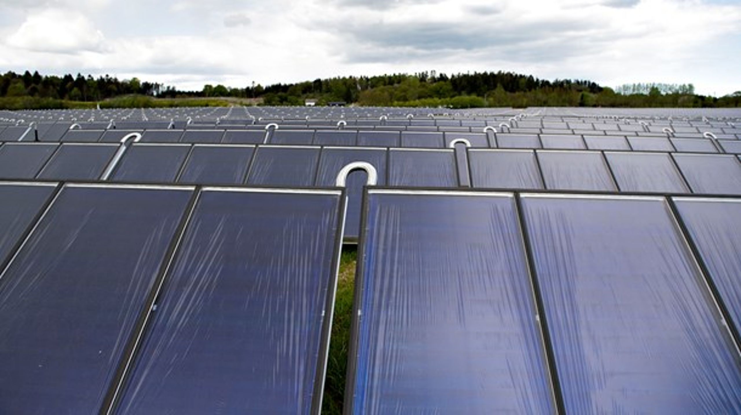 Solcelleparken ved Kikkenborg syd for Lemvig kommer til at bestå af i alt 60.000 solcellepaneler og producere 20.000 MWh.&nbsp;