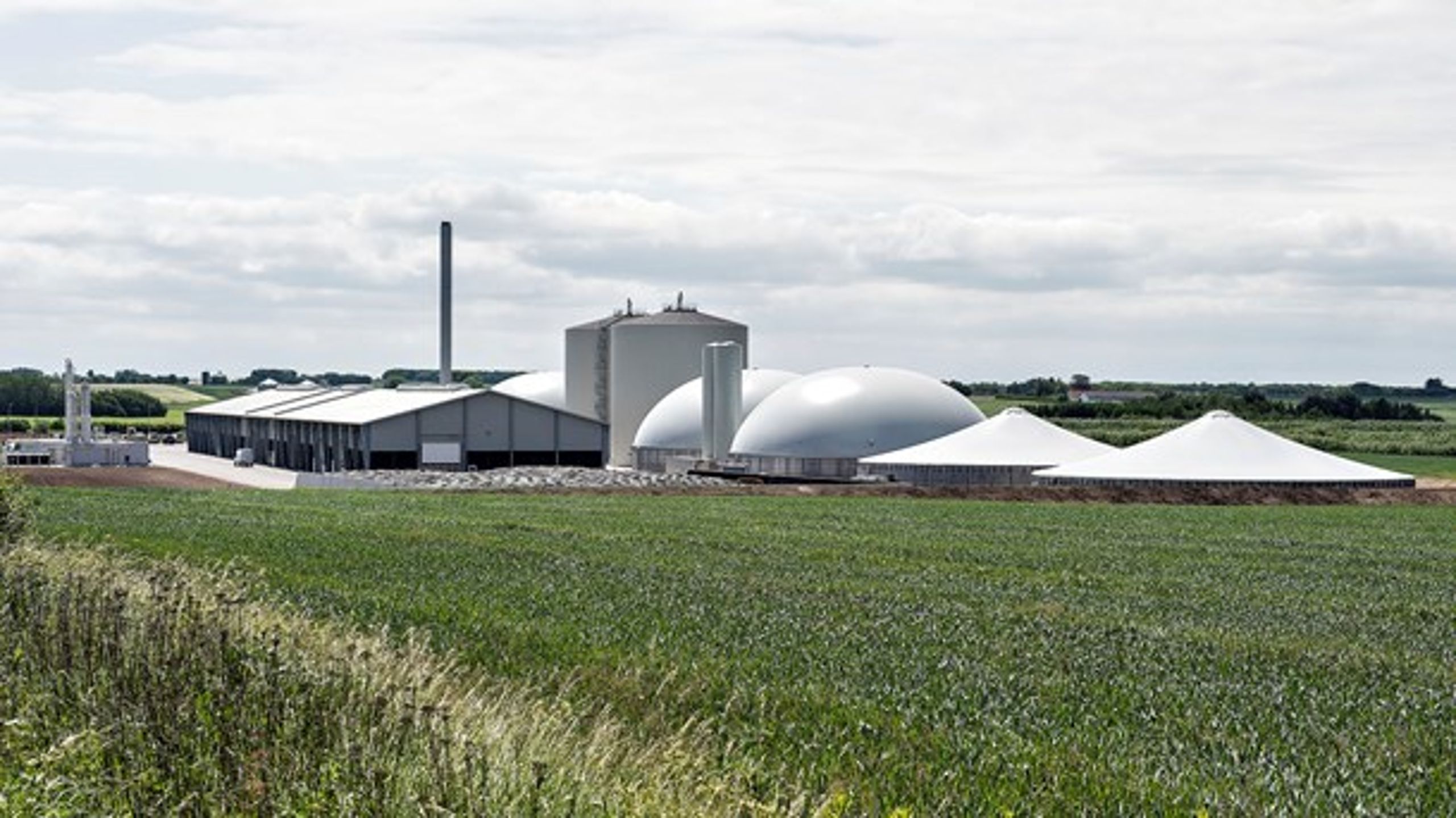 I 2023 udgør biogas 30 procent af gassen i gasnettet, skriver Peter Kristensen fra Evida.