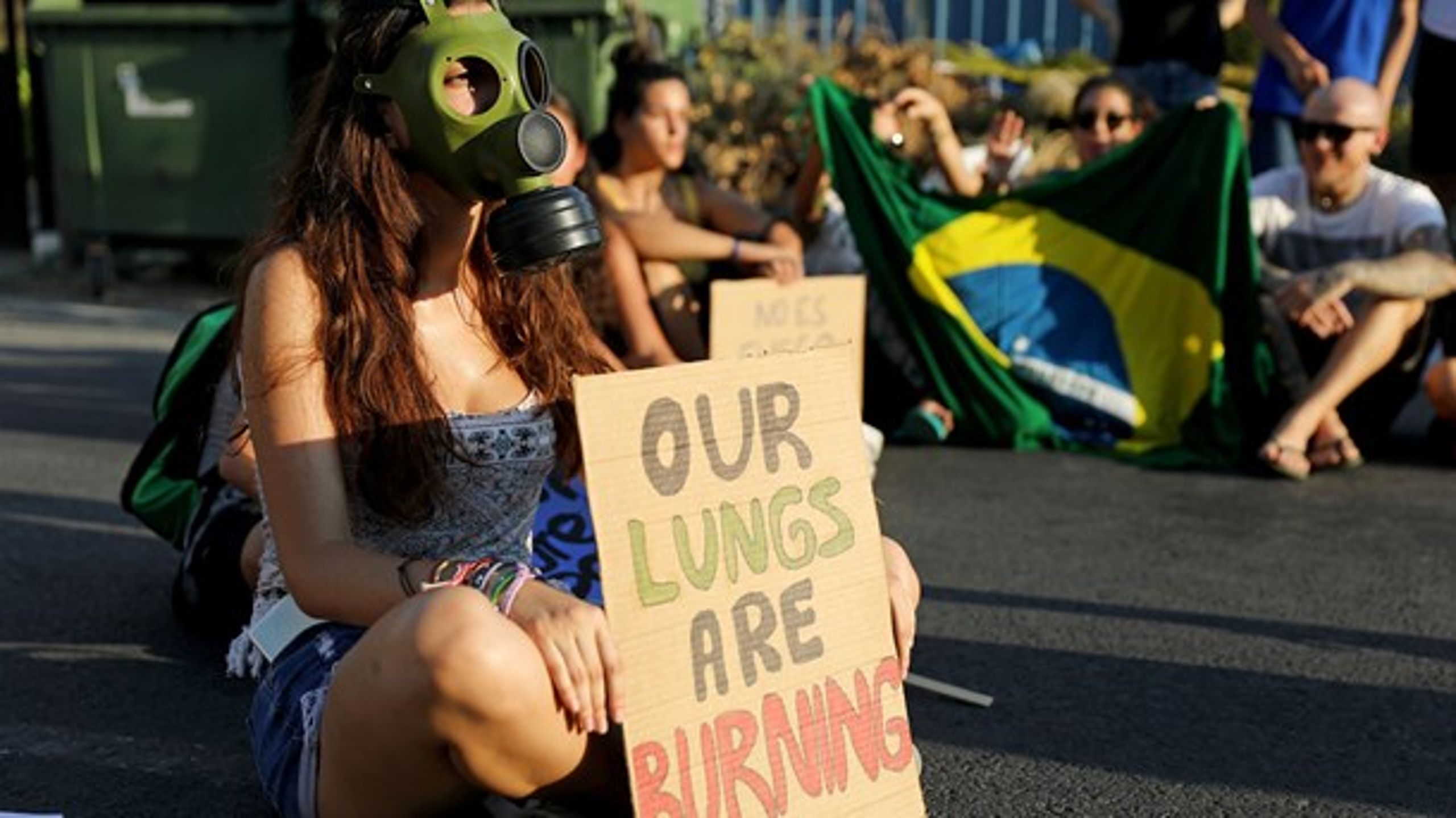 Ifølge en rapport, der er lavet af universitetet i Sussex, bliver der hver uge dræbt fire miljøaktivister.