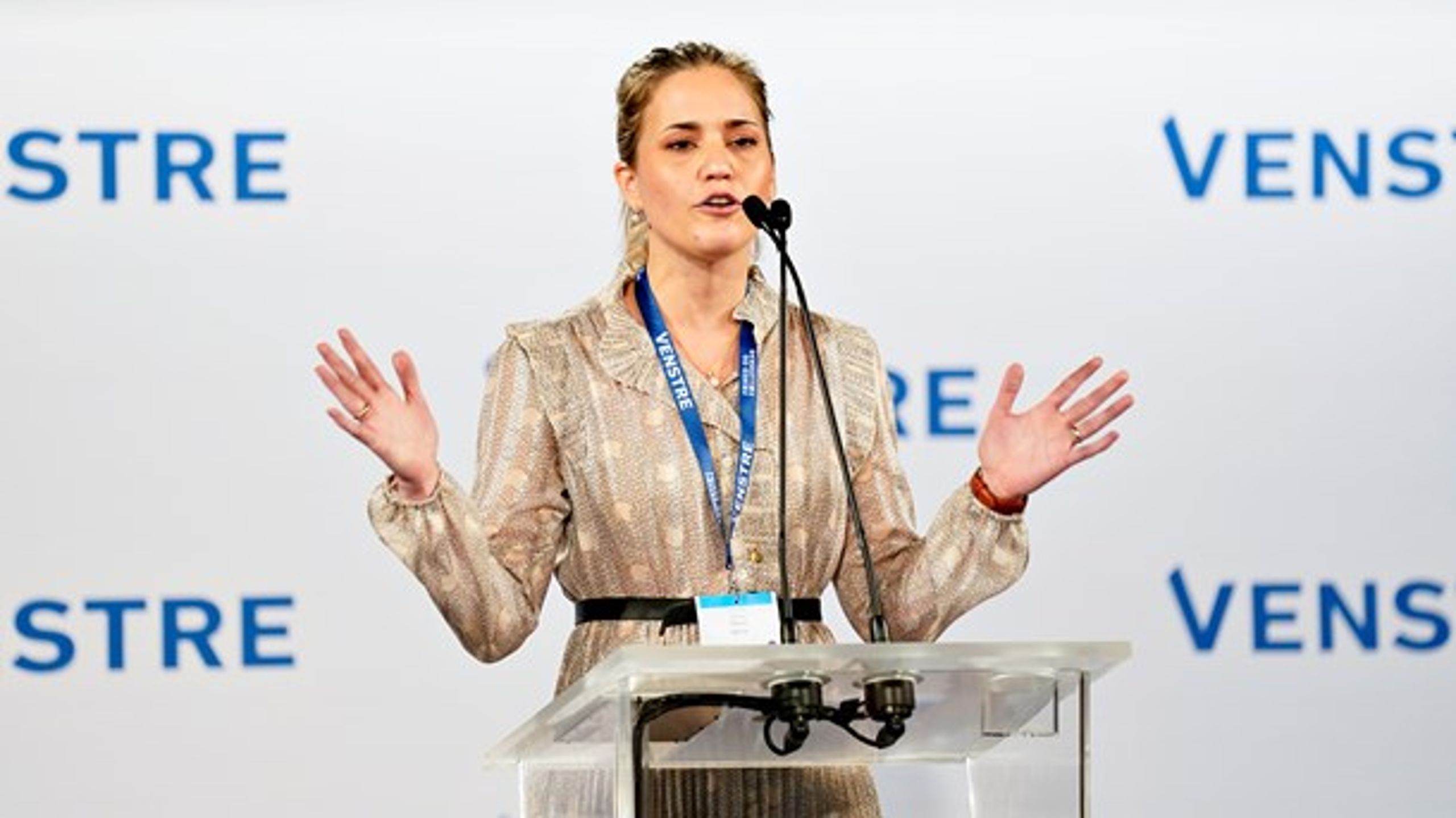 Marie Bjerre taler ved Venstres landsmøde i Herning Kongrescenter 17. november 2019.&nbsp;