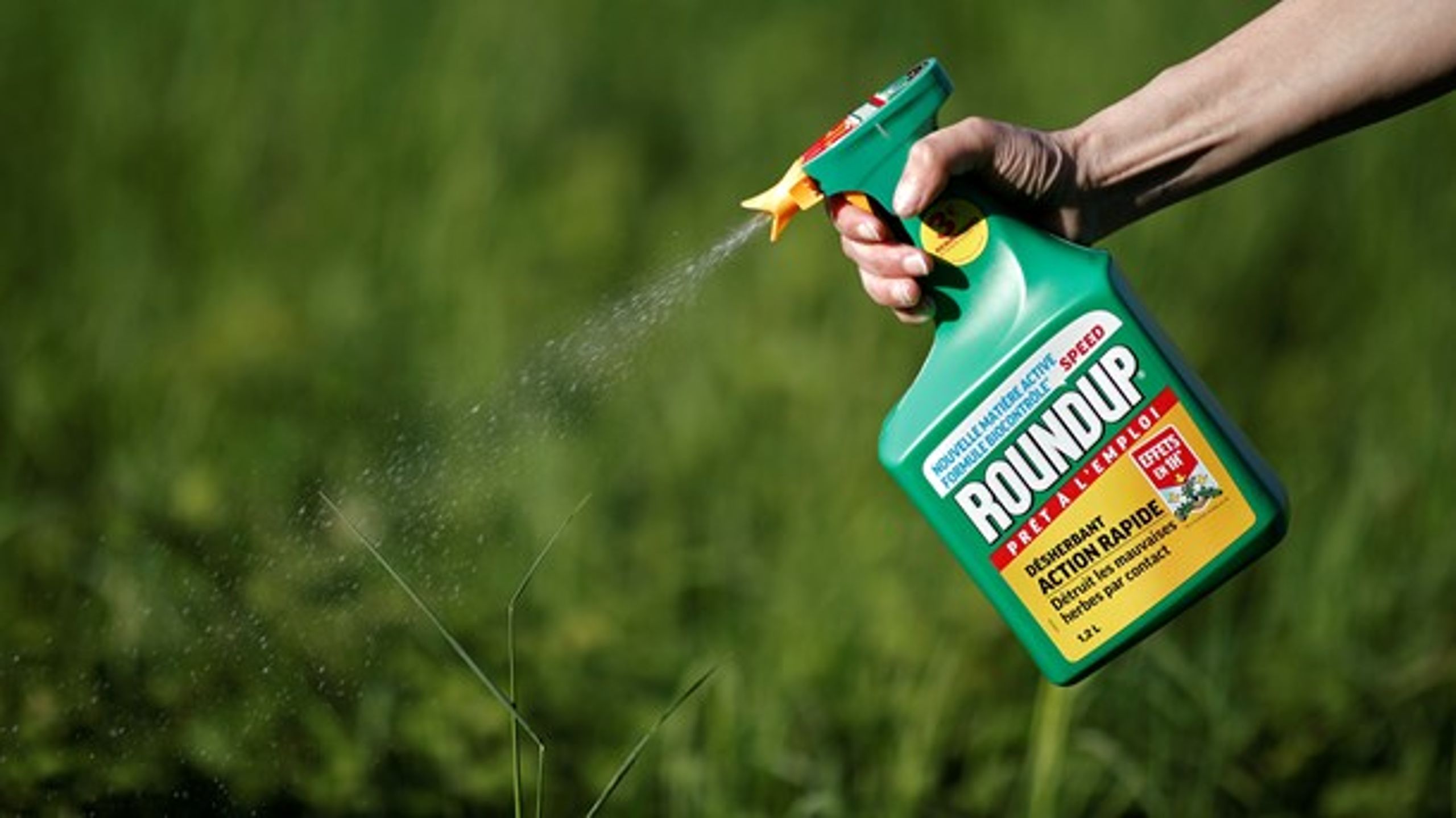Folketinget bør forbyde anvendelsen af alle pesticider til ikke-erhvervsmæssige formål, skriver professor emeritus Erik Arvin, m.fl.