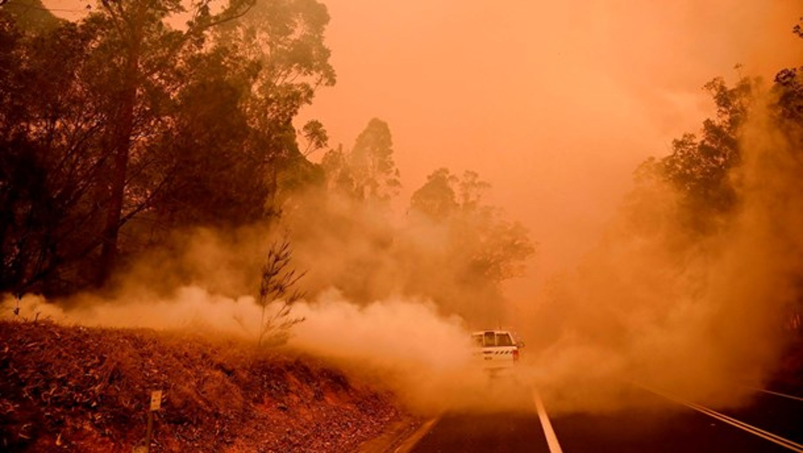 Året er kun lige begyndt, og nyhederne er allerede fulde af klimarelaterede historier, skriver Mattias Söderberg. Her er et billede fra Australien, hvor der er alvorlige skovbrande.