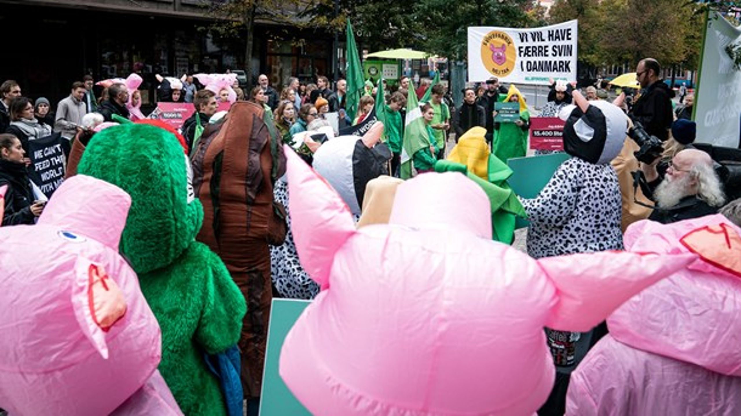 Greenpeace, Noah og Den Grønne Studenterbevægelse holdt kødstrejke foran landbrugets hovedsæde Axelborg på Axeltorv i København iført blandt andet grisekostumer.<br>