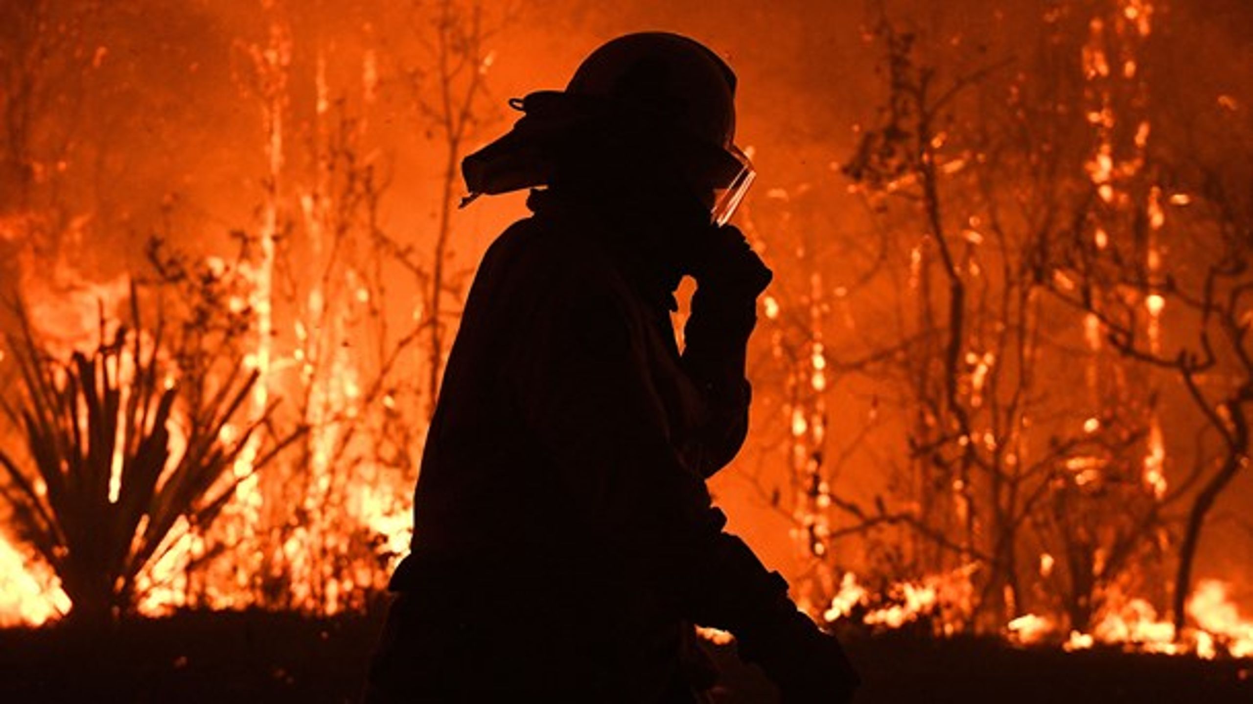 Naturbrandene i Australien har igen fået klimaforandringerne øverst på dagsordenen. Men tager klimaet for meget opmærksomhed fra andre udfordringer såsom fattigdomsbekæmpelse? Altinget tager debatten.