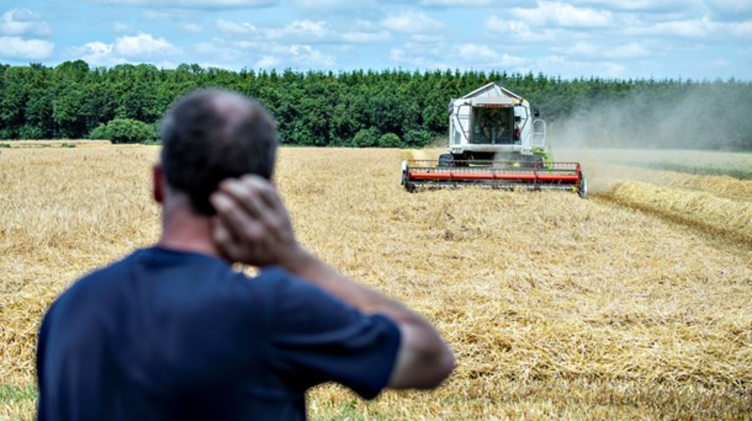 Landbrugets økonomi er omdrejningspunktet for de kommende ugers temadebat på Altinget Fødevarer.