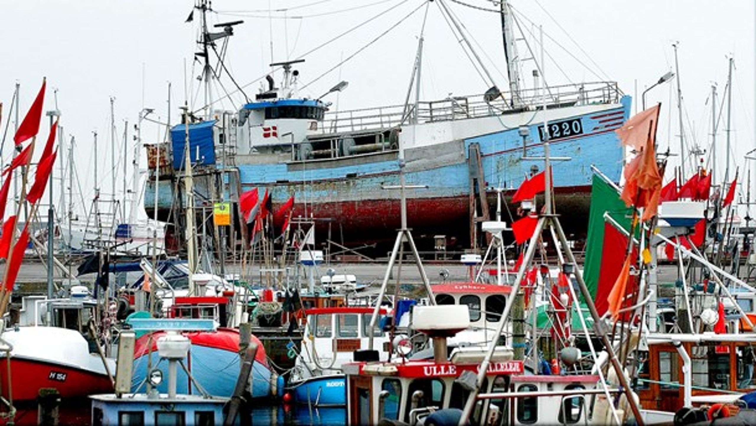Miljø- og Fødevareministeriet ønsker at kompensere fiskere i Østersøen for indkomsttabet i 2020 som følge af lavere kvoter.