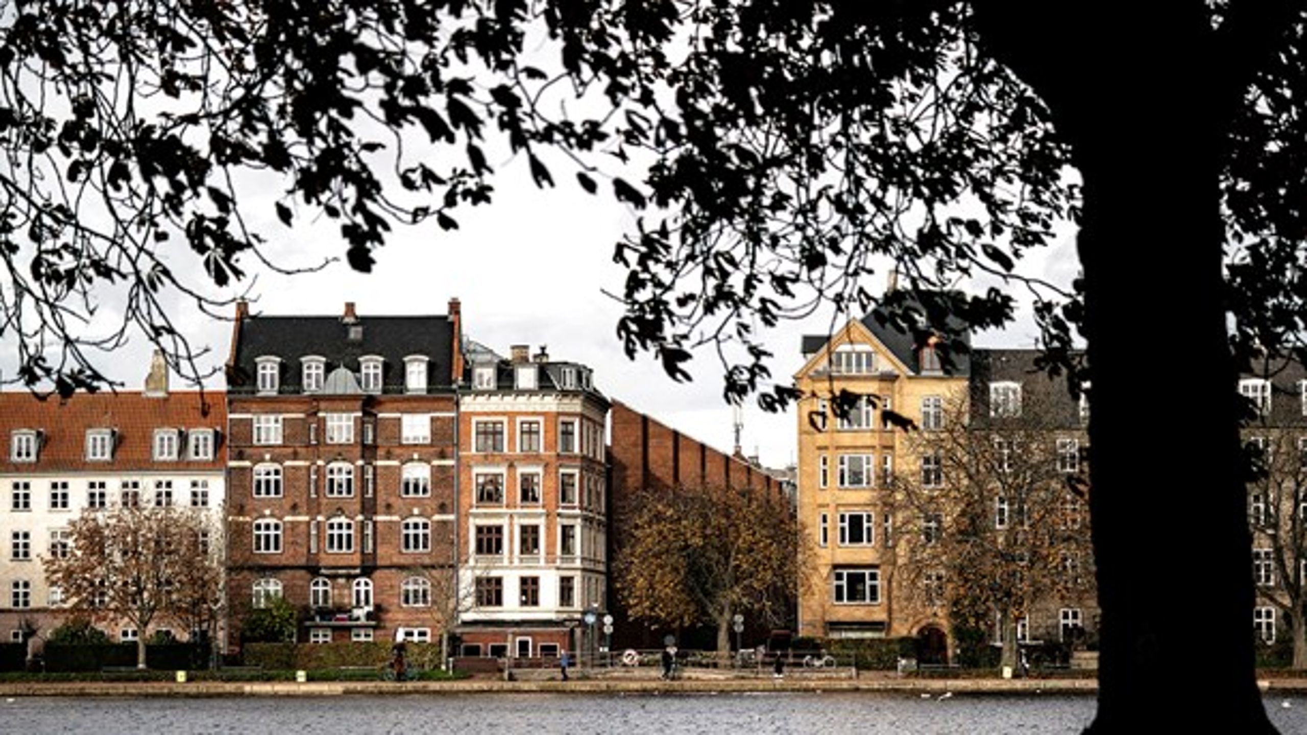 Ministerens seneste indgreb, populært kaldet "Blackstone-indgrebet", er godt nyt for københavnske boligejeres friværdi, skriver Jonas Herby.