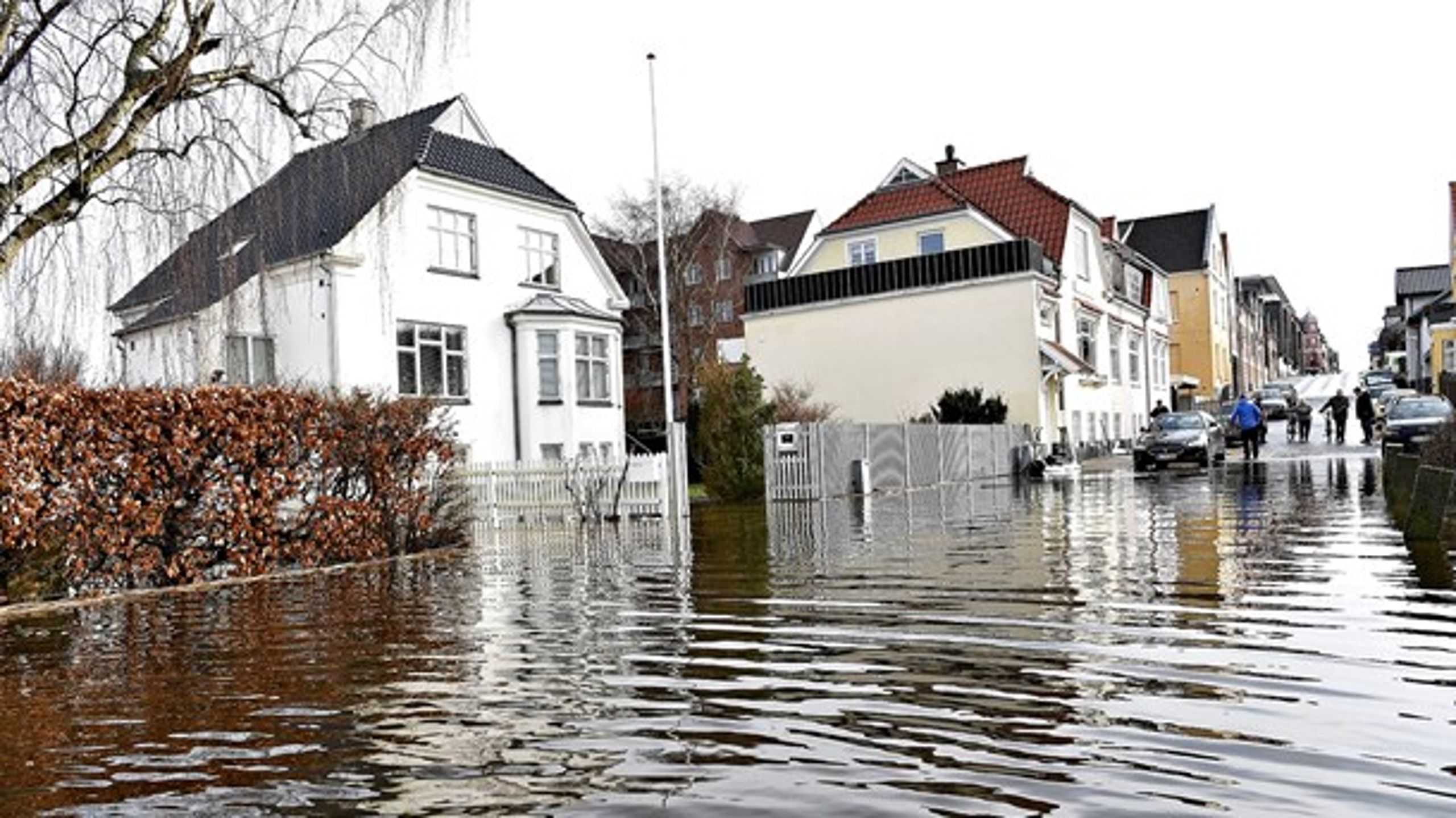 Vandet giver problemer mange steder i landet. Her er det i Silkeborg, hvor der kæmpes med vandet.