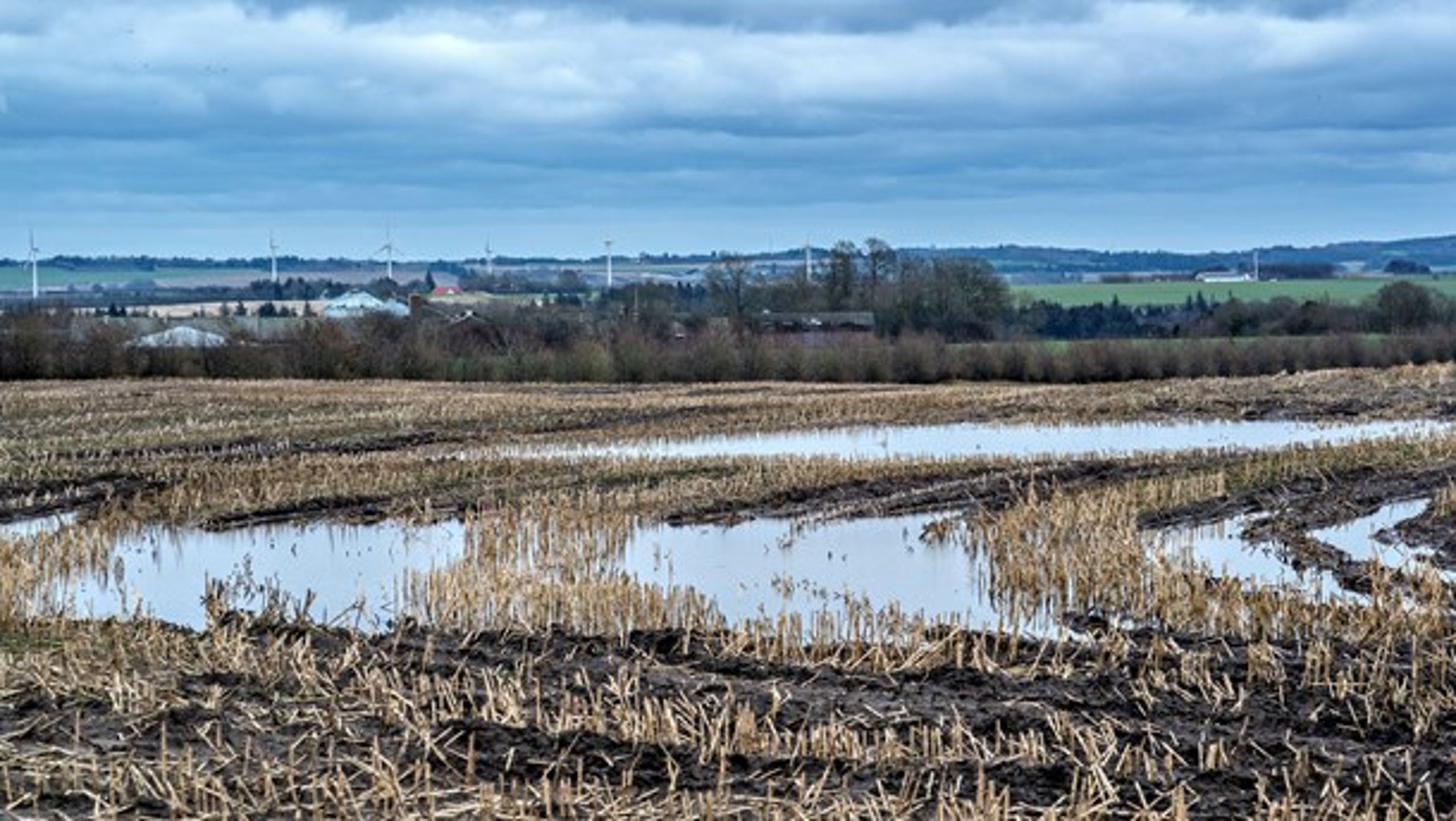 Landmænd kalder på udgravning af vandløb for at bekæmpe oversvømmede marker. Men den løsning er eksperterne ikke enige i, skriver Torben Meldgaard.