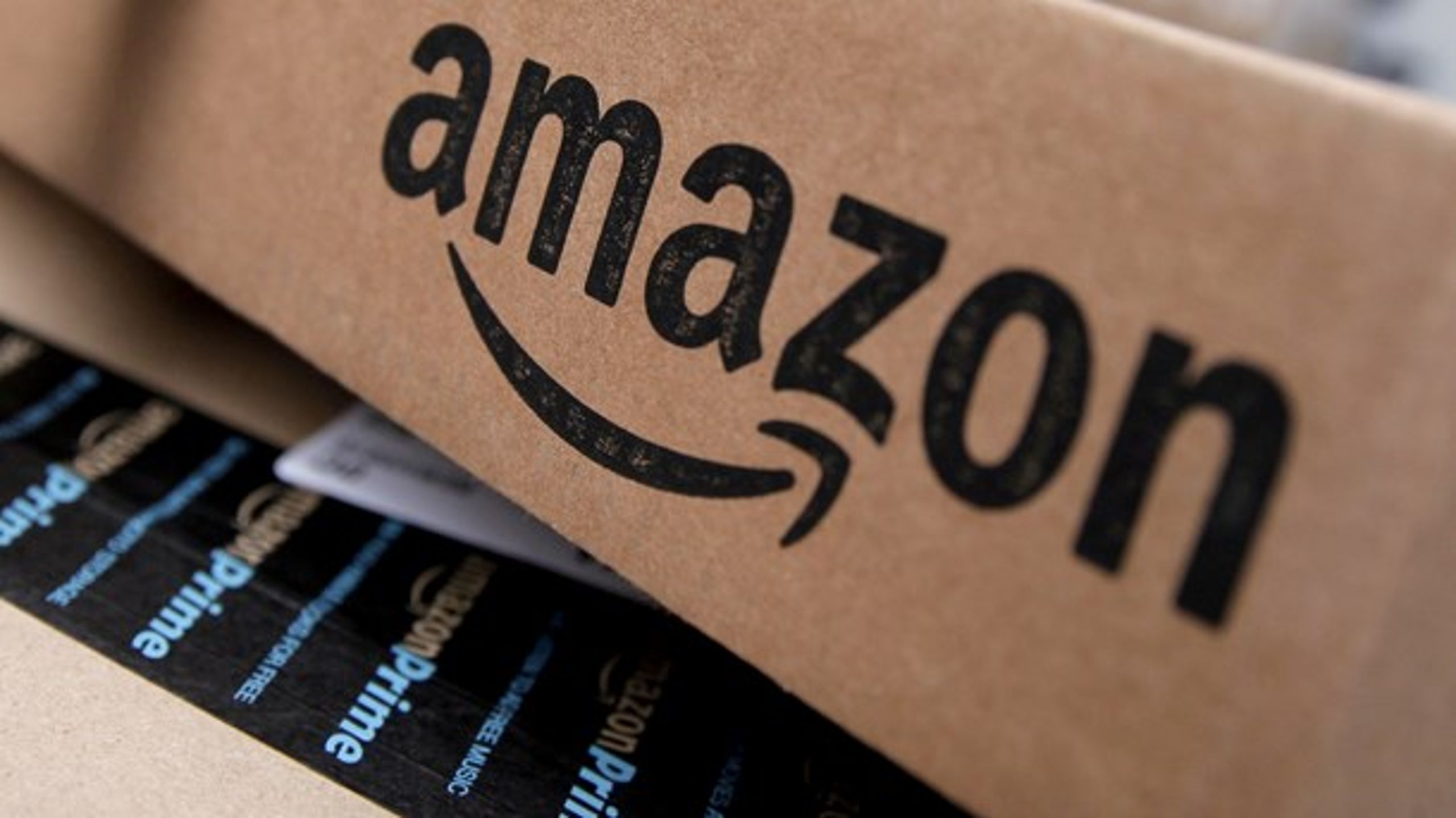 Den danske bogbranche frygter, at Amazon køber rettighederne op til den danske litteraturhistorie og sælger hele molevitten på et brandudsalg, fortæller Niels Frid-Nielsen.