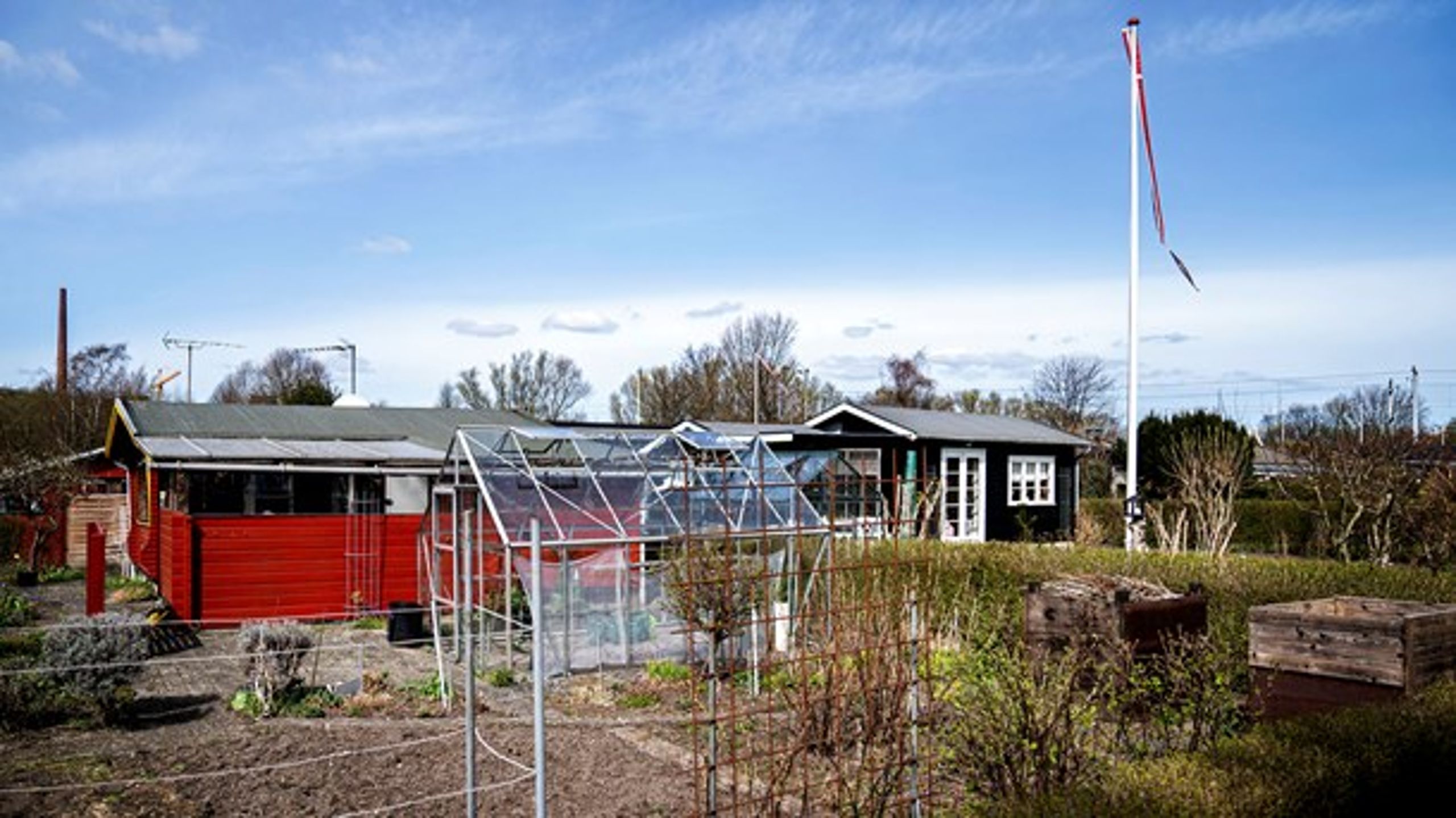 I Odense vil man kloakere kolonihaver for at bevare arbejdspladser under coronakrisen.&nbsp;(Foto:&nbsp;Ida Guldbæk Arentsen/Ritzau Scanpix)