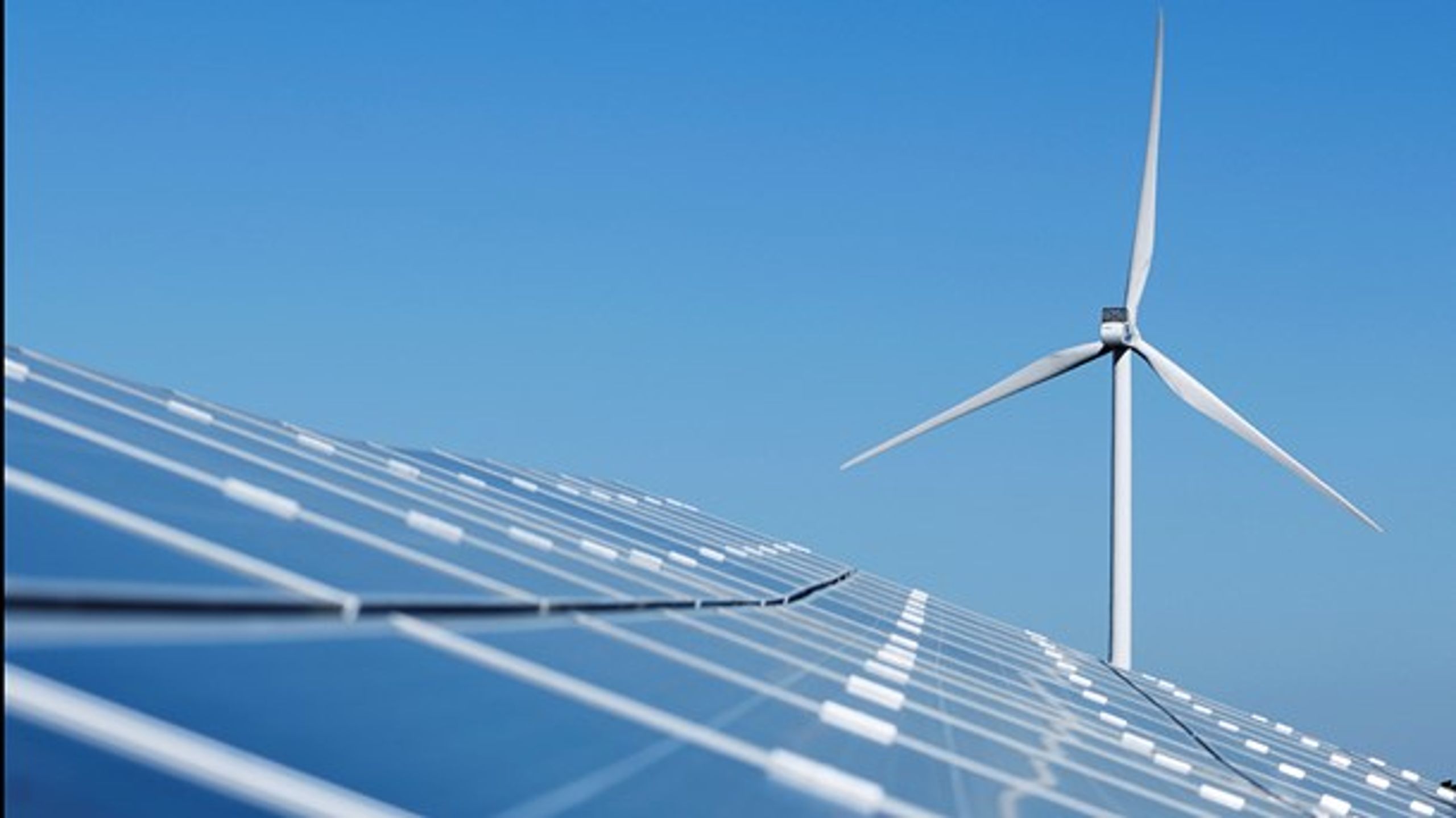 Store sol- og vindprojekter vil blive sat på standby, hvis det offentlige ikke giver prisstøtte, skriver European Energys direktør.