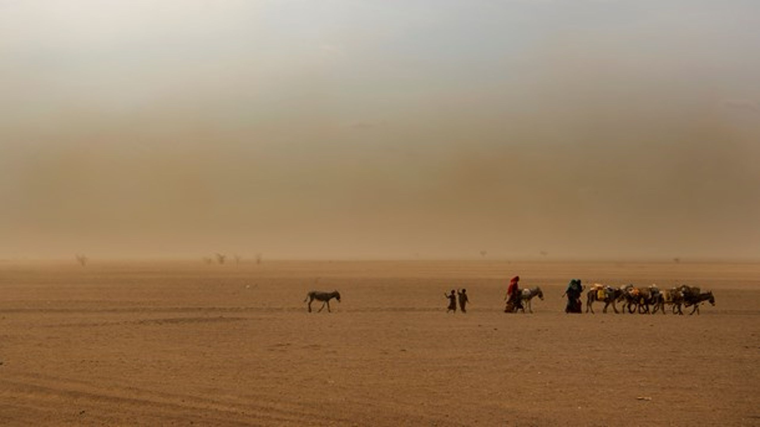 I Etiopien regner man med, at en halv million mennesker er internt fordrevne på grund af klimaforandringer.