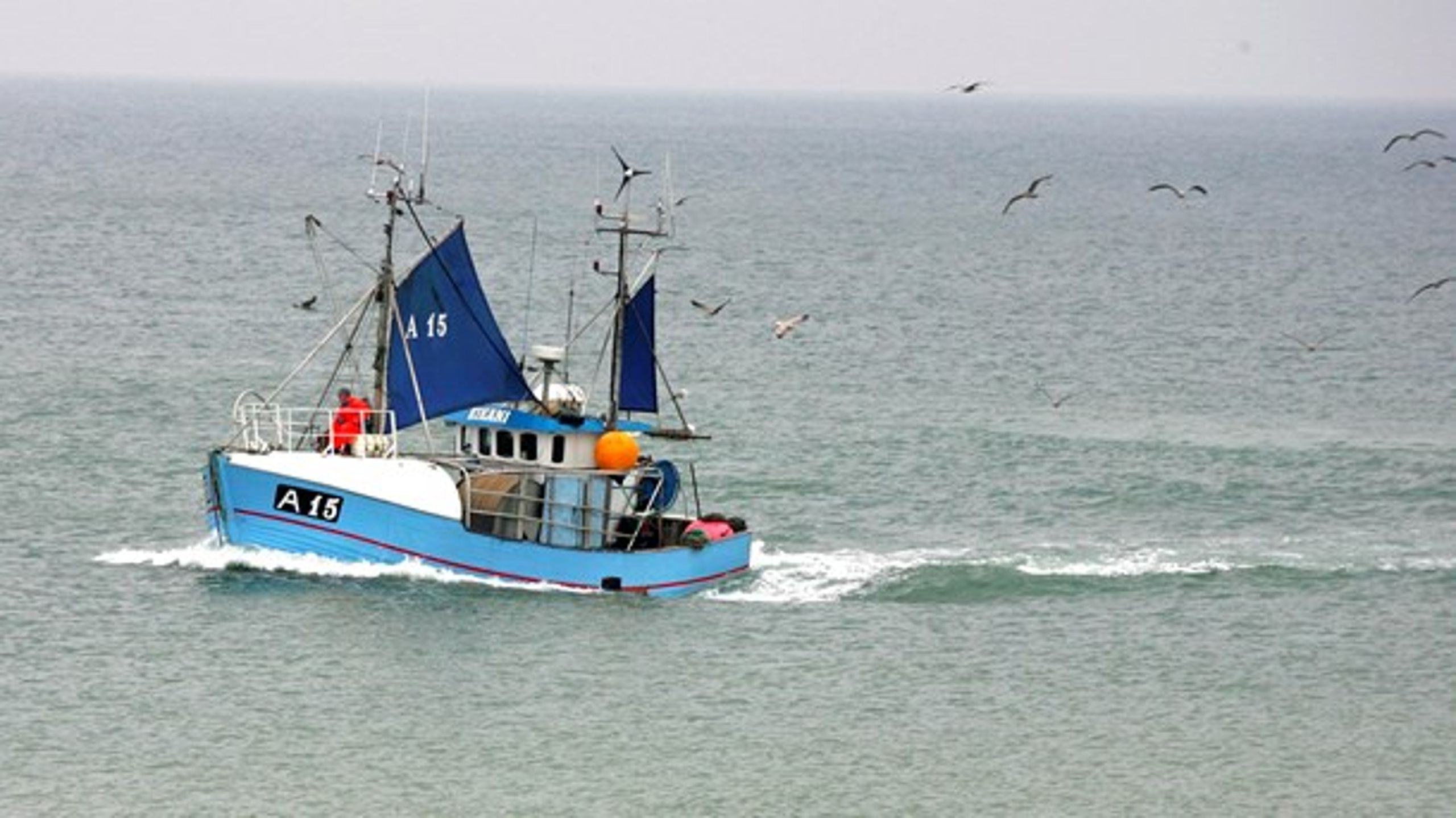 WWF mener, at kamera på fiskefartøjer er nødvendigt, men det har sine ulemper, skriver Danmarks Fiskeriforening PO.&nbsp;