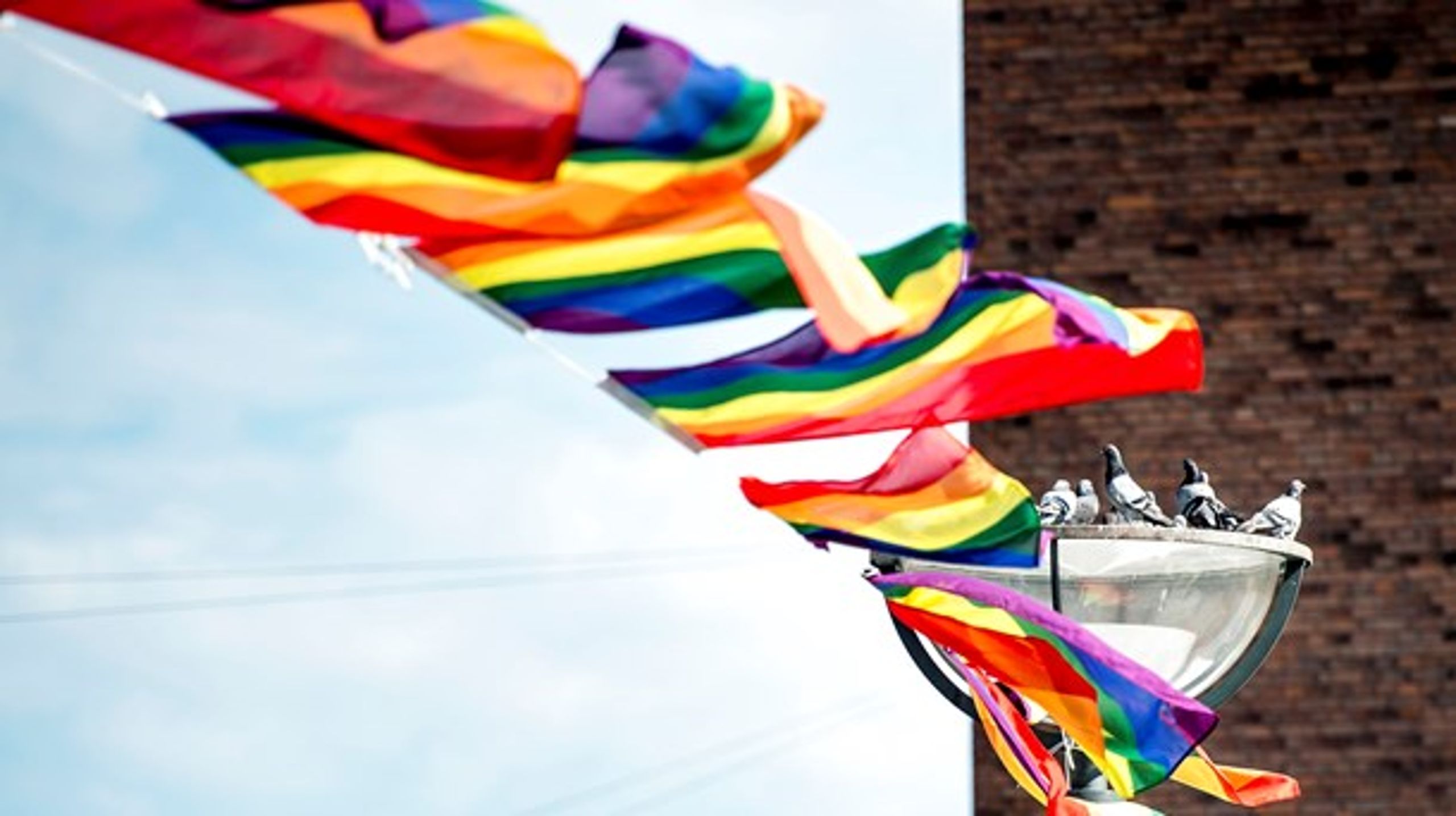 Virksomheder skal engagere sig i at fremme en mangfoldig og inkluderende kultur hele året og ikke kun under den årlige <i>pride parade</i>, skriver&nbsp;Jesper Mørk.