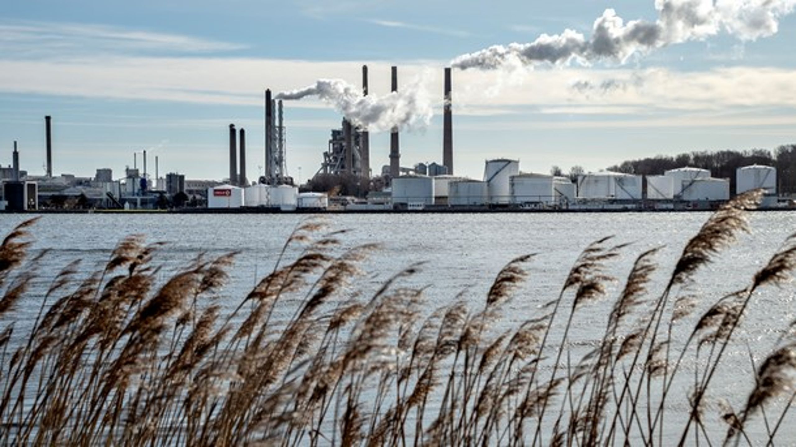 Aalborg Portland og cementfabrikkens direktør har været i skudlinjen i klimadebatten, skriver Dansk Energis direktør, Lars Aagaard.&nbsp;