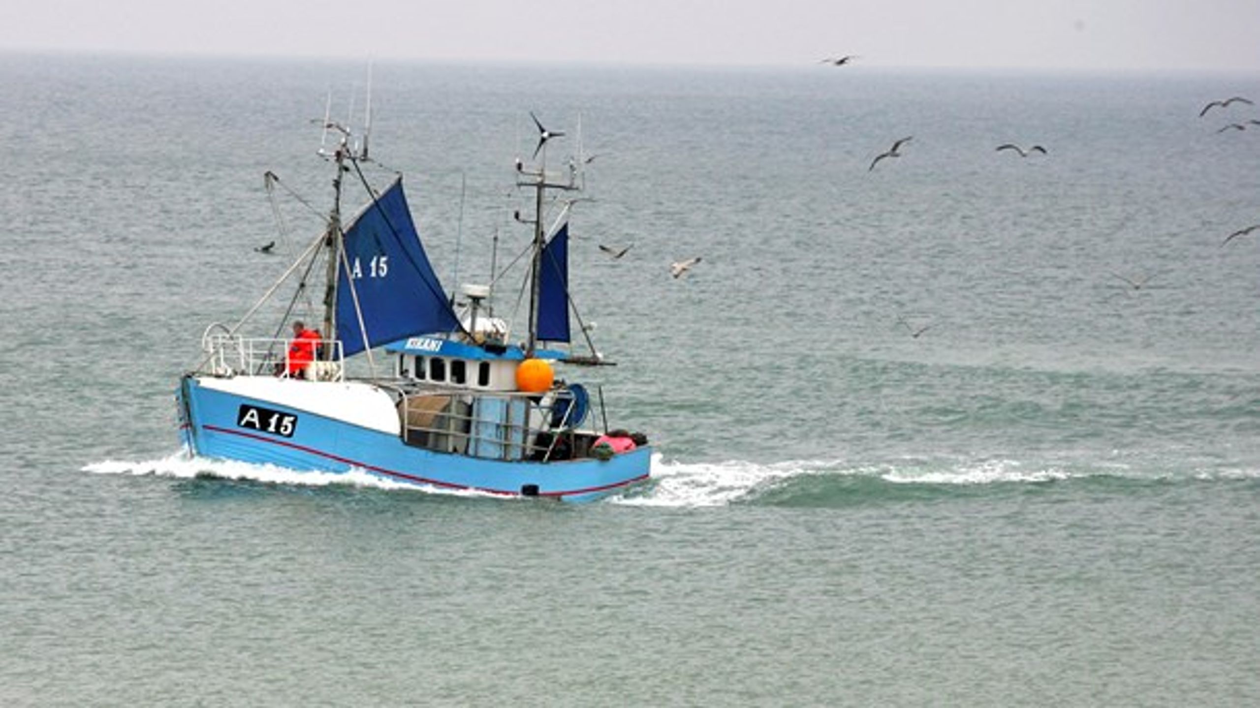 "Selvom dansk fiskeri er vant til bølgegang, er det alligevel noget helt særligt i år," skriver Svend-Erik Andersen.&nbsp;