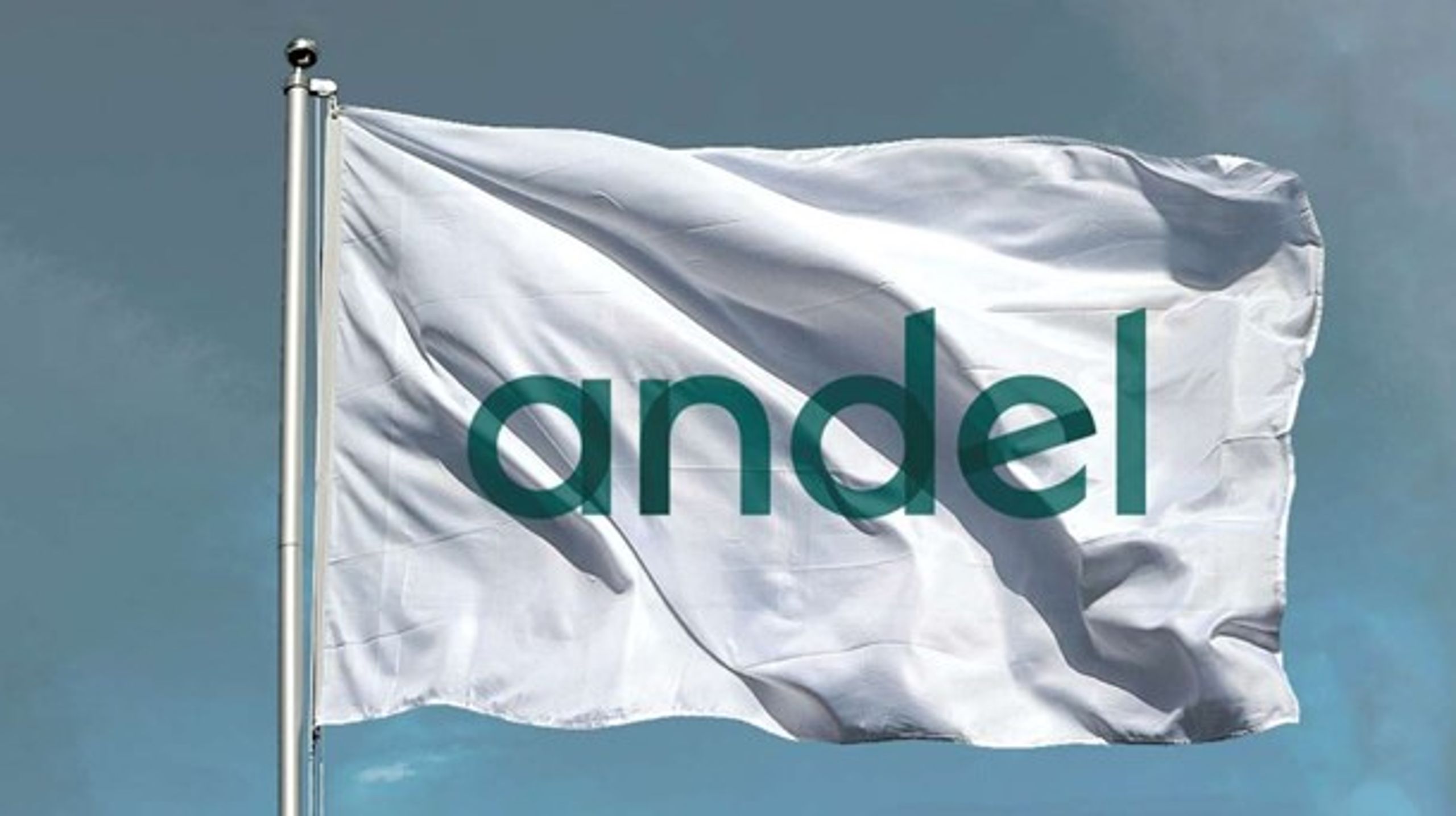 Andel erstatter navnet Seas-NVE, der er sammenkobling af Sydsjællands Elektricitets Aktieselskab og Nordvestsjællands Elektricitetsværk, som fusionerede i 2005.